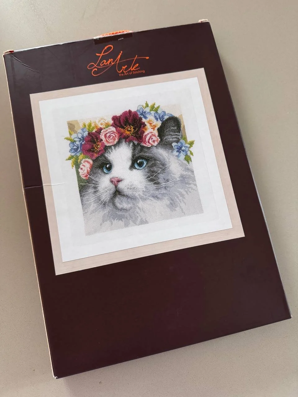 photo_2026-02-18 14.38.39.jpeg