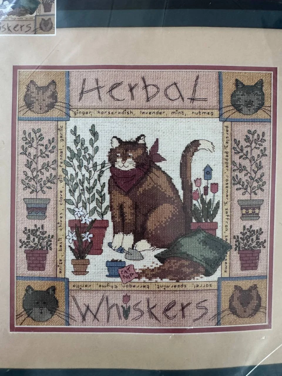 photo_2026-02-16 10.05.05.jpeg