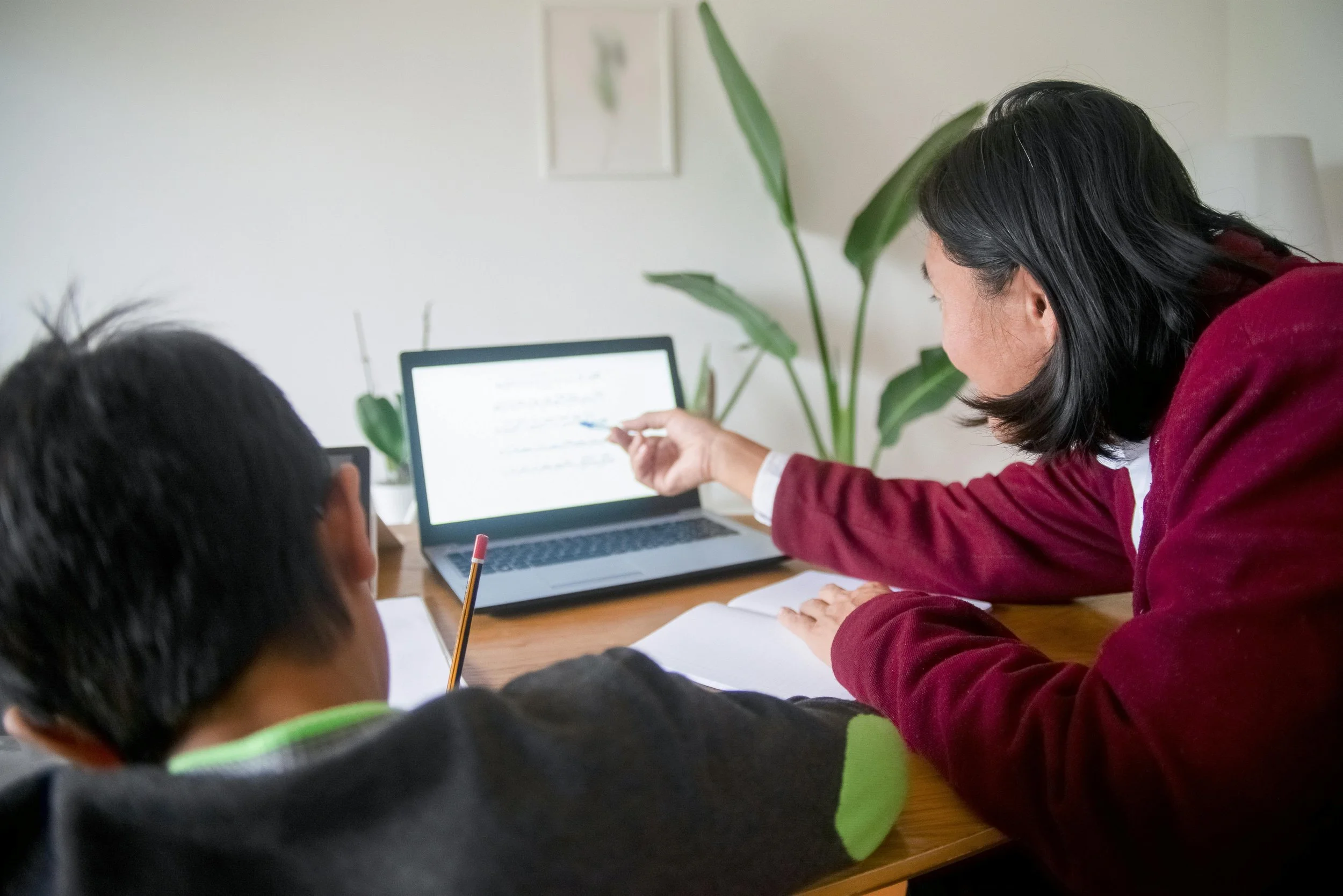 A parent and child working on a laptop together