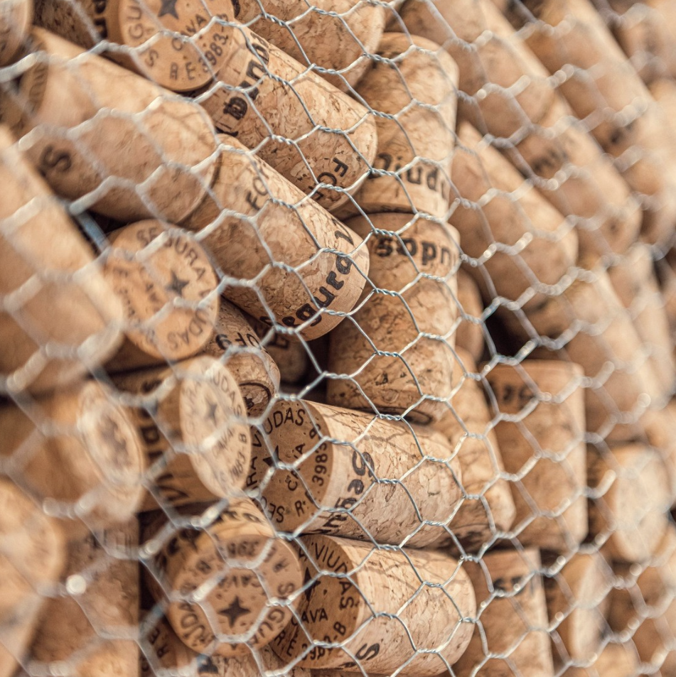 Captura de pantalla 2025-05-27 a la(s) 11.34.54 a. m..png