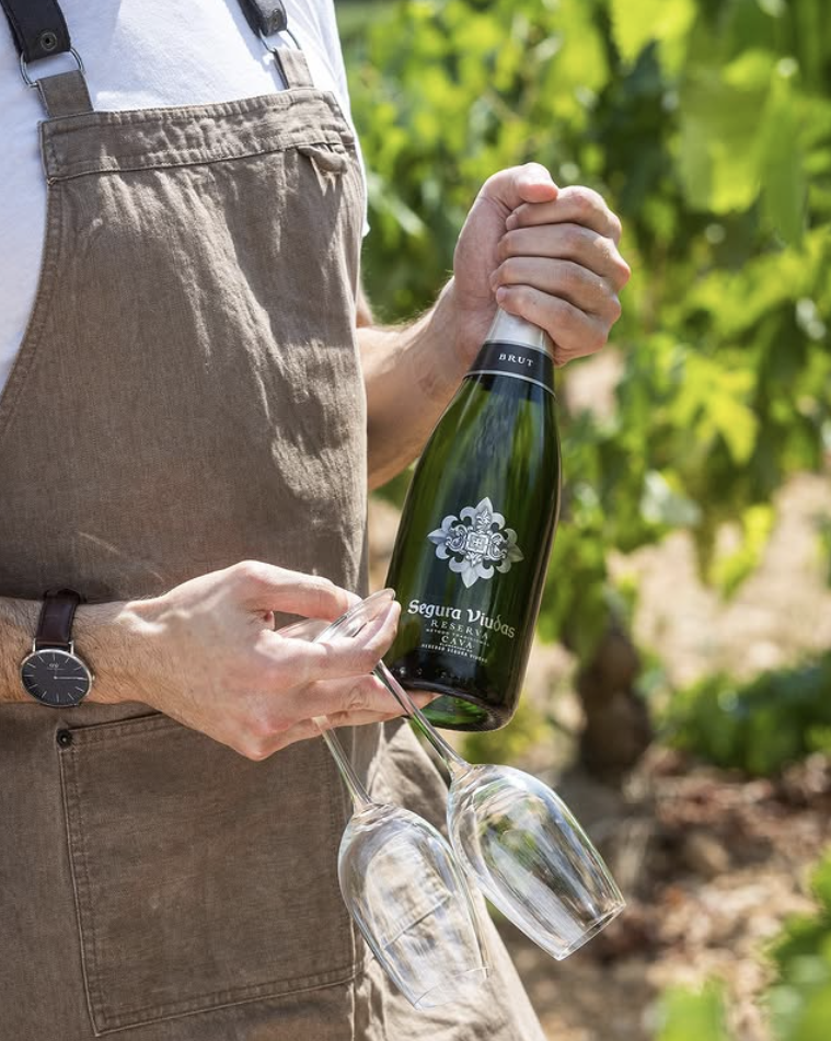 Captura de pantalla 2025-05-27 a la(s) 11.31.04 a. m..png