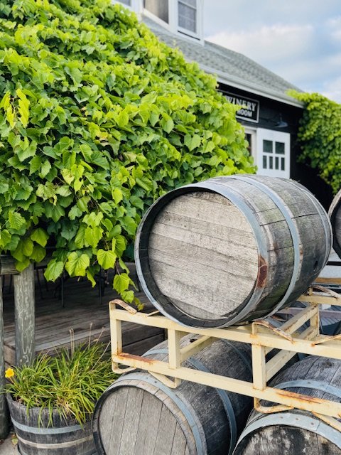 Wine barrels stacked outdoors near a lush grapevines and a vineyard building.