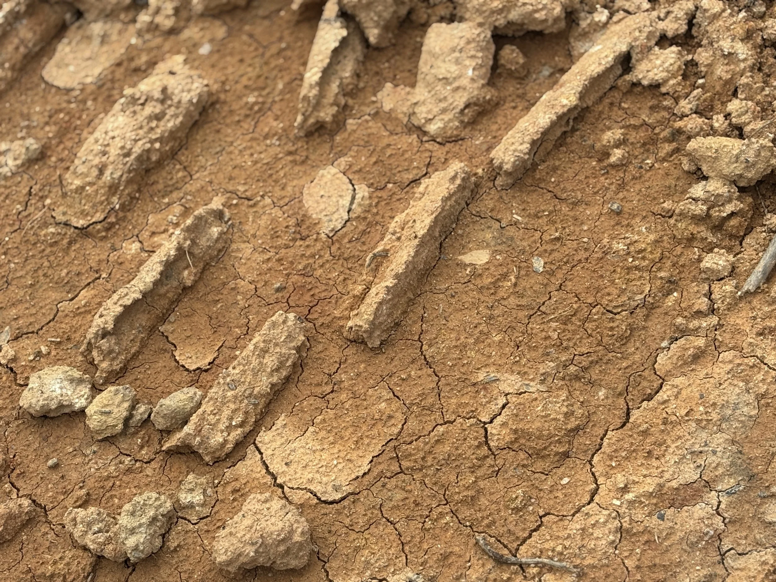 Close-up of dry red clay soil with exposed rock and natural textures.