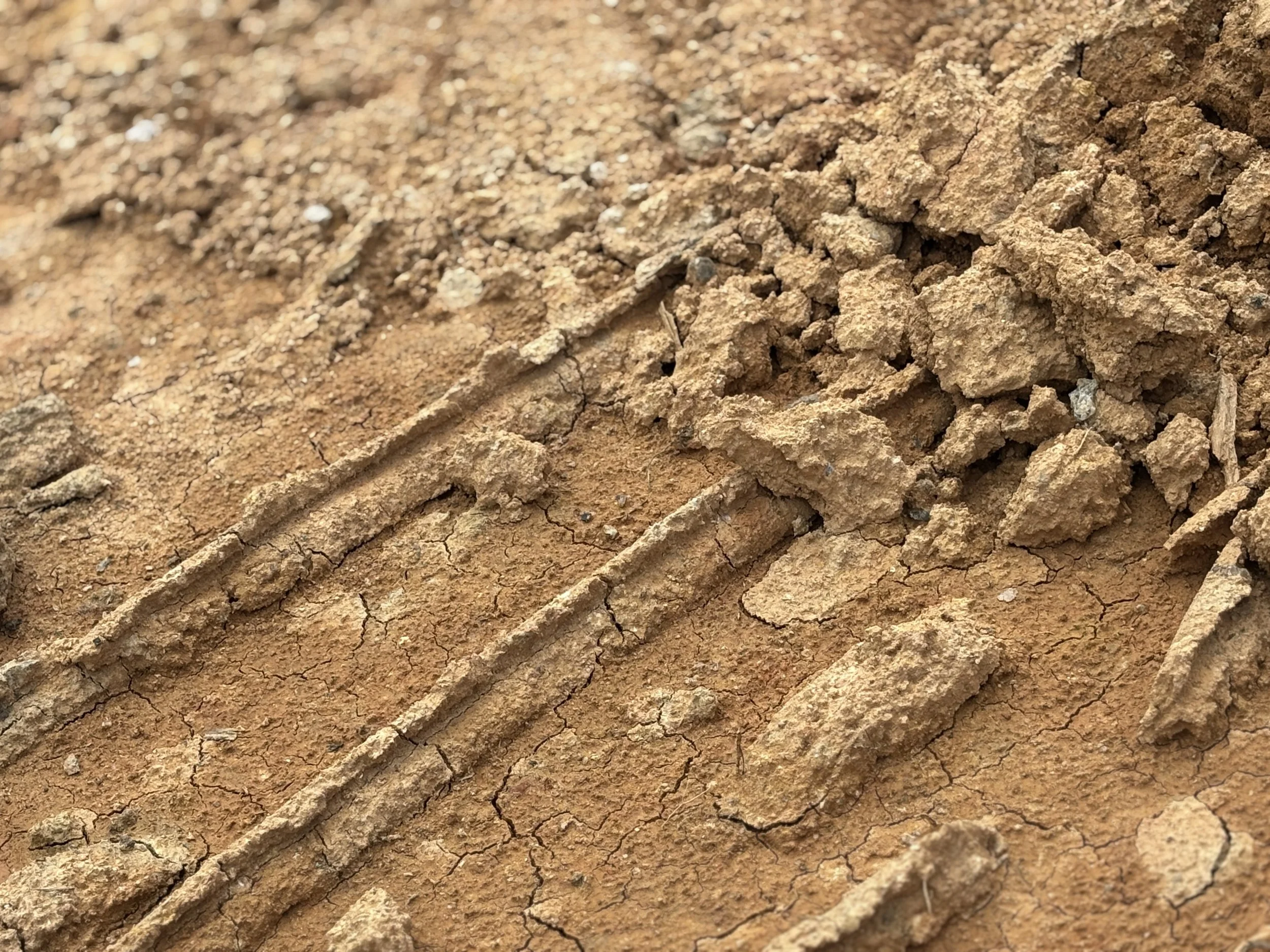 Close-up of dry red clay soil with exposed rock and natural textures.