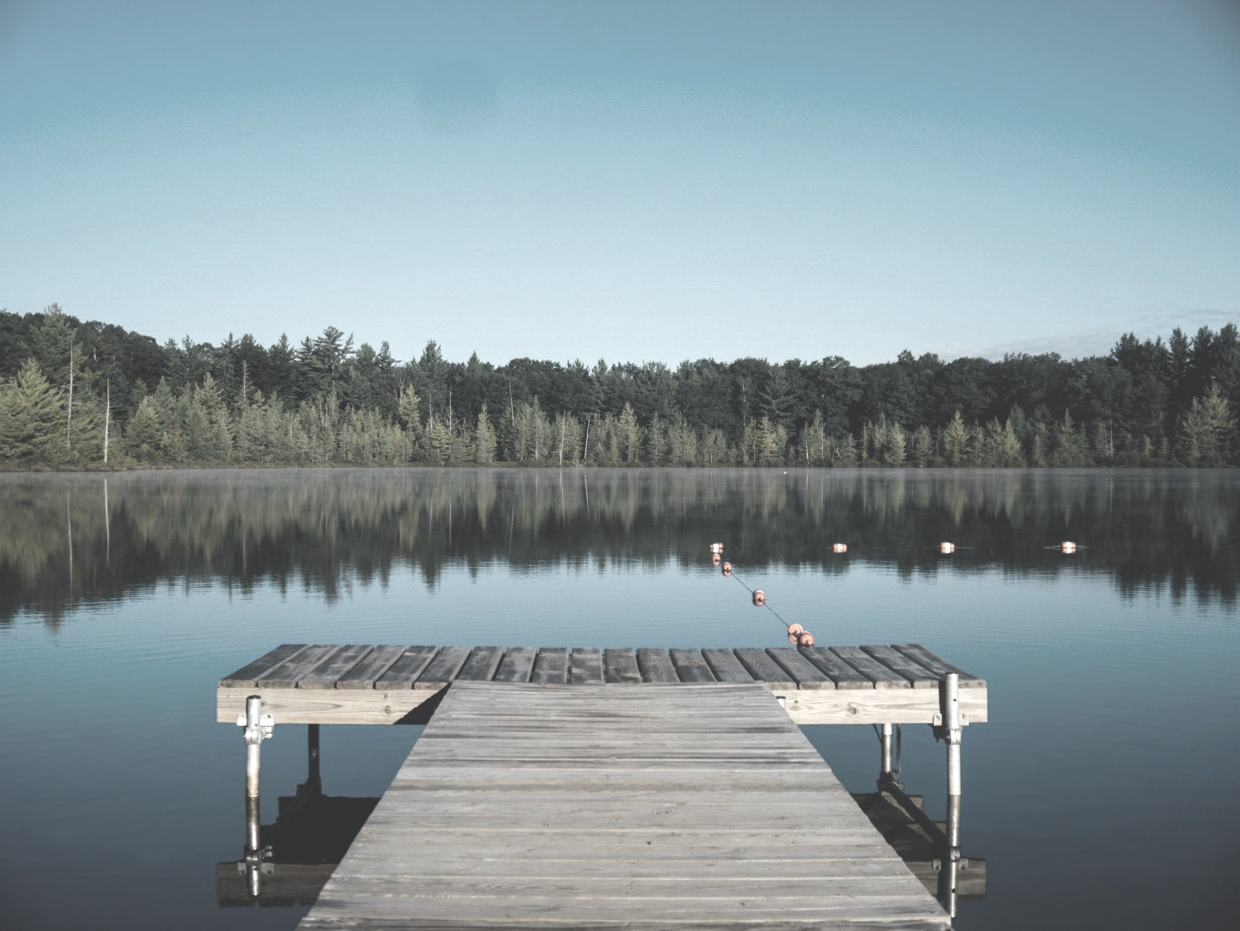 A wooden dock in Lake Conroe into a calm lake with a forested shoreline in the background under a clear blue sky.