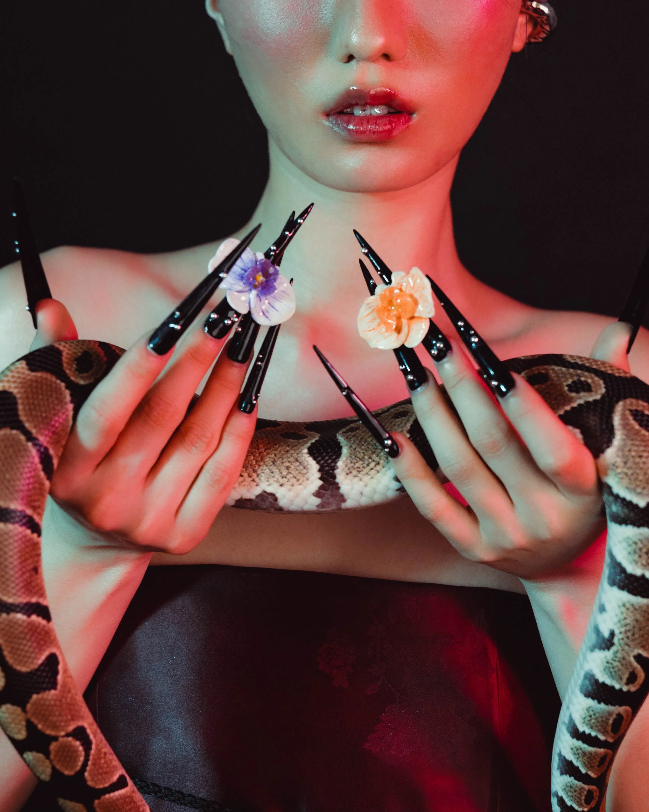 JJJ TOOTH COUTURE CAMPAIGN