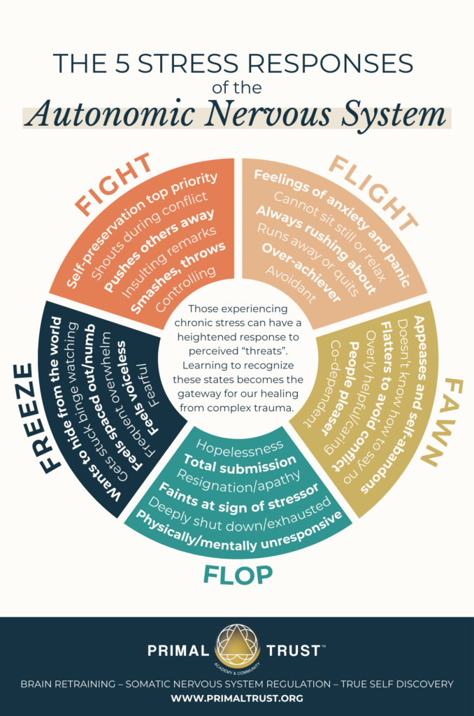 A circle chart depicting the 5 stress responses of the autonomic nervous system: fight, flight, fawn, freeze, and flop