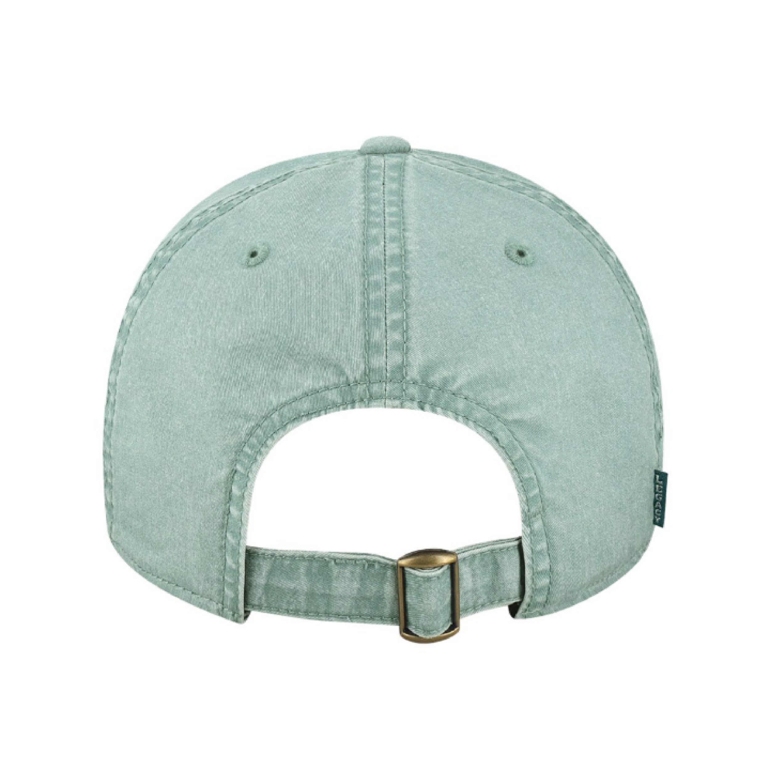 dad hat- back.png