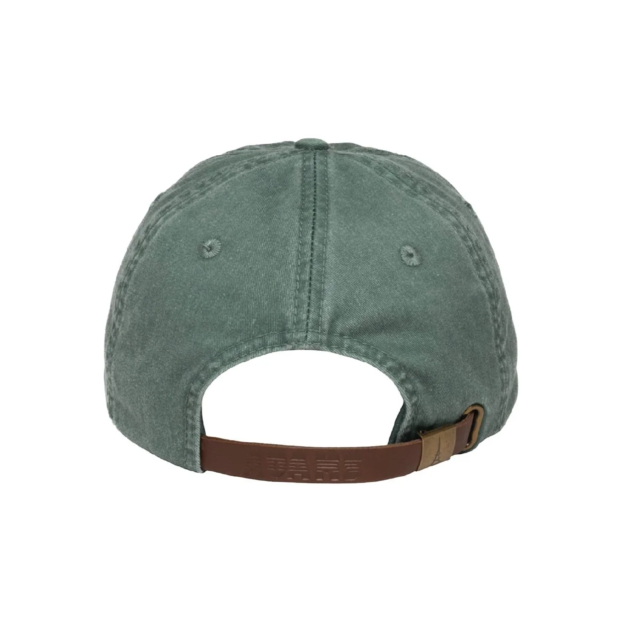 LP101 dad hat_back.jpg