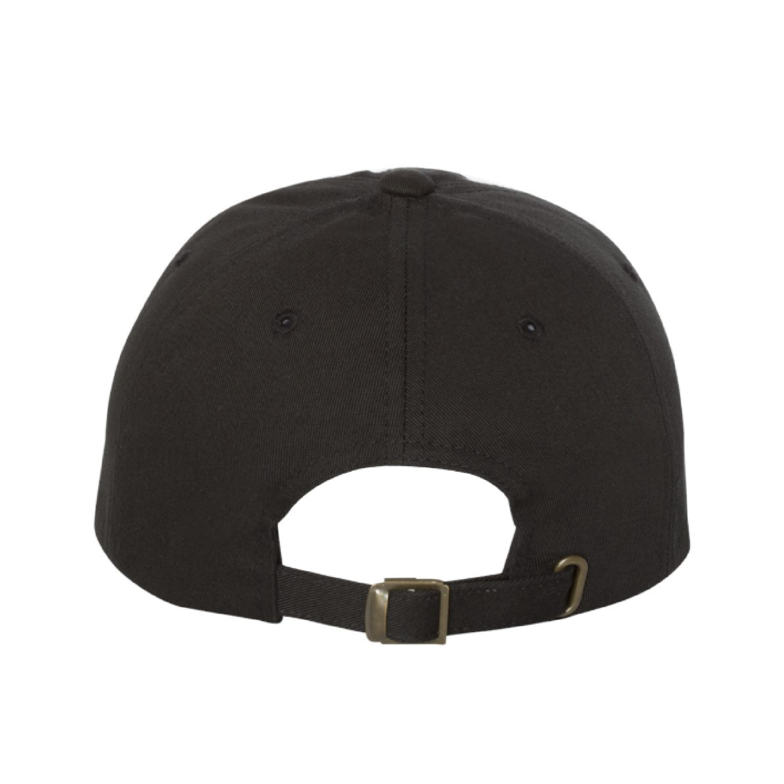 dad hat back.png