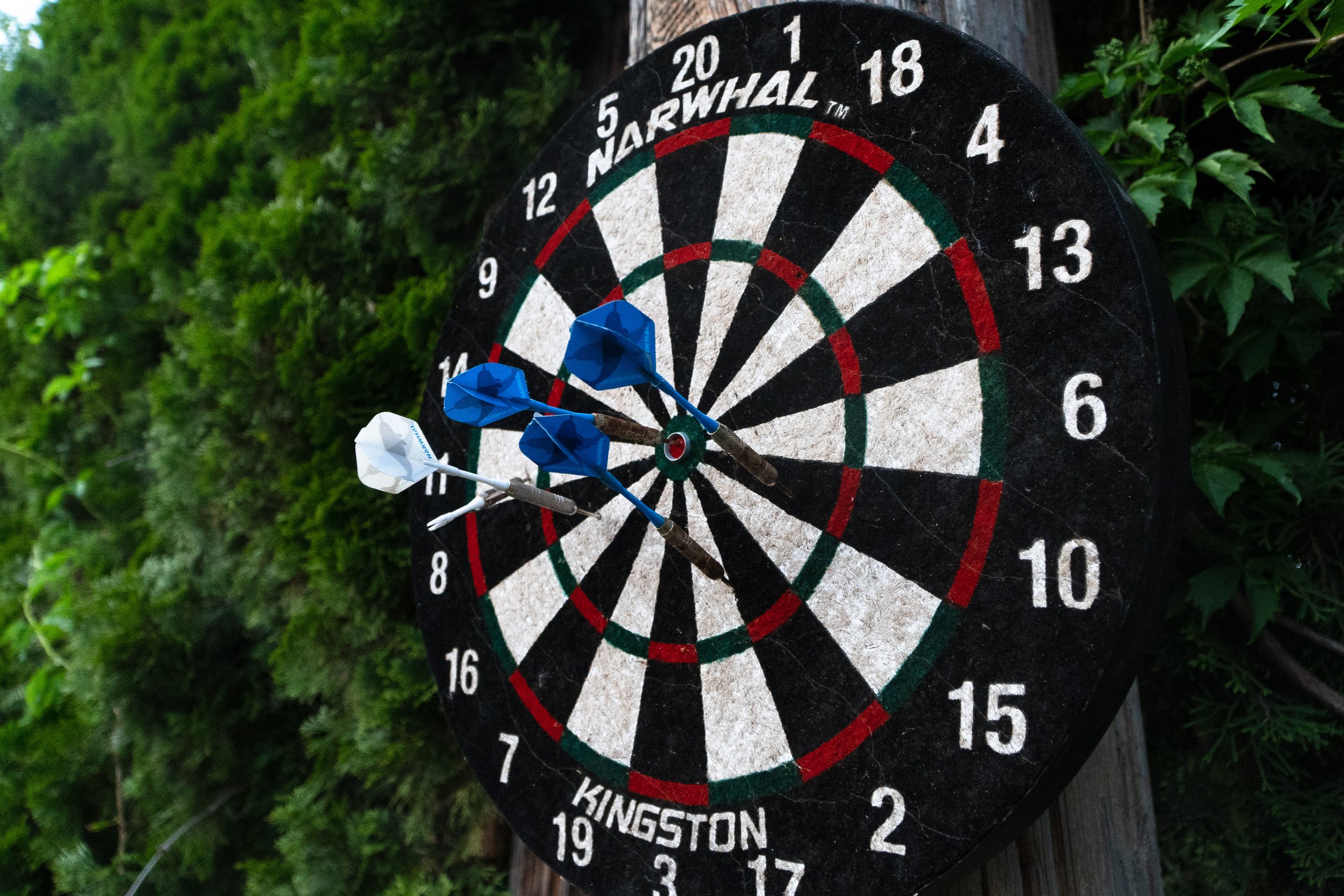 Dart Board with darts included