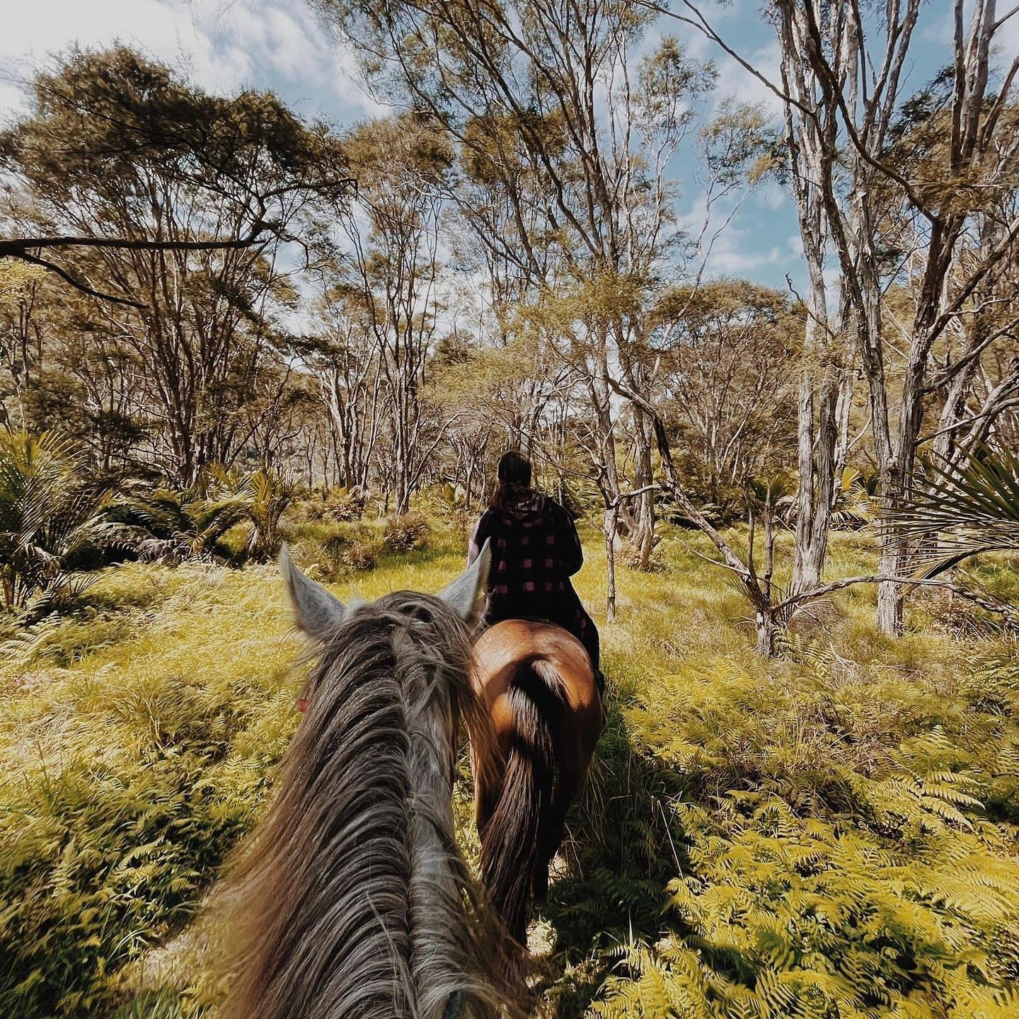 Holiday Programmes - Horse Riding.jpg