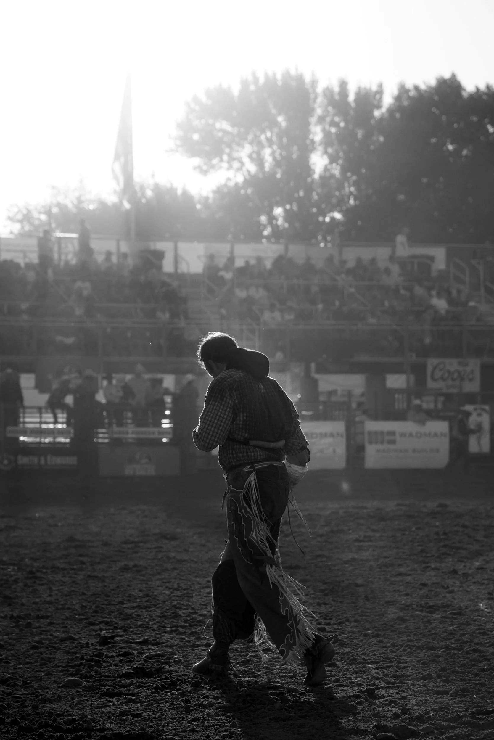 Hicks Bay Horse Sport