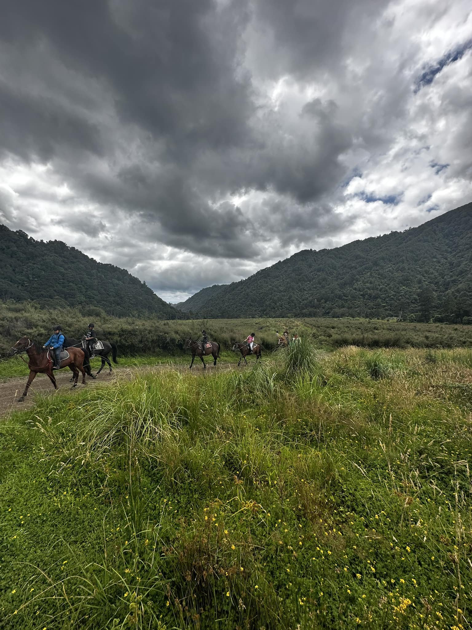 Standfast Horse Trekking - Camp.jpg