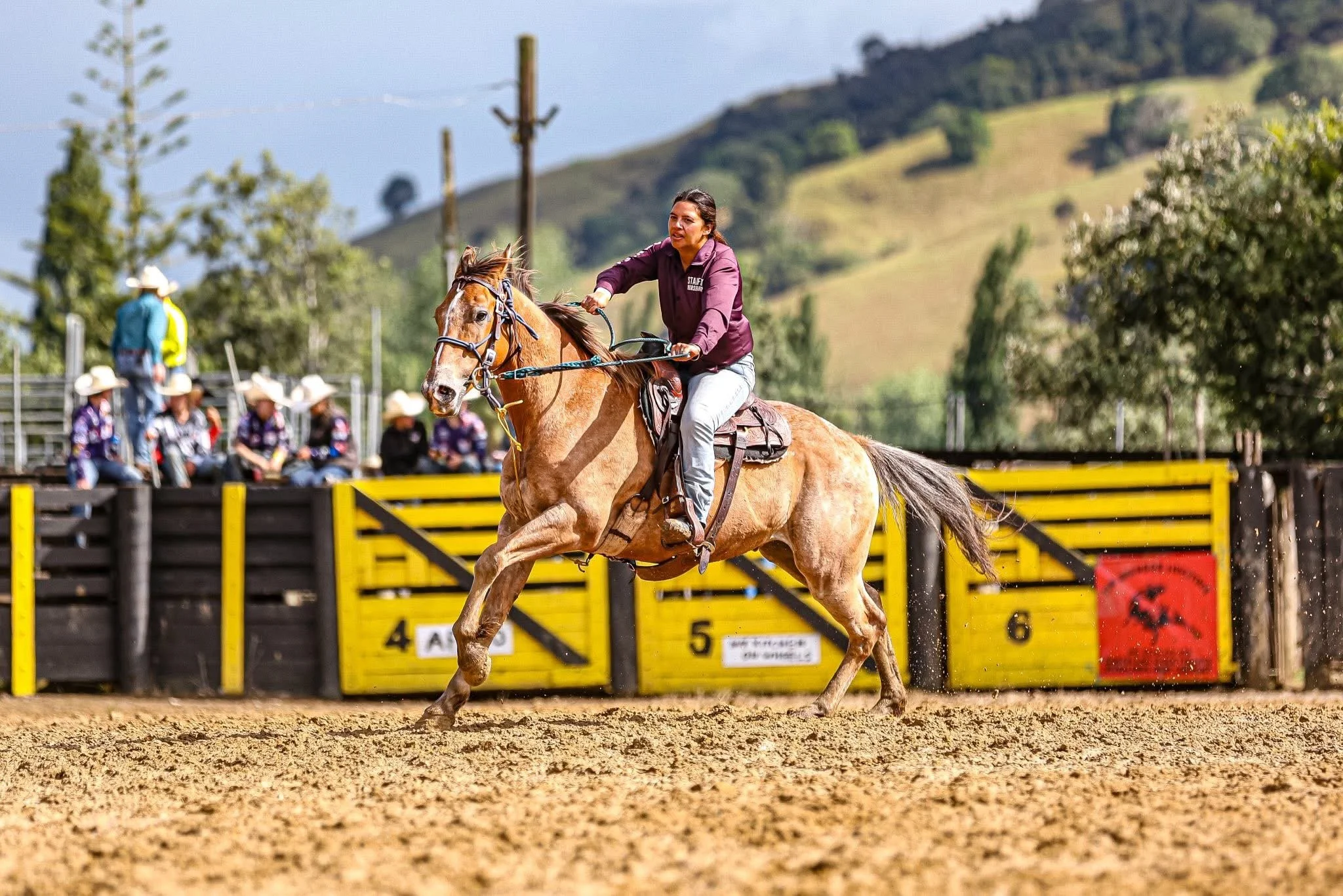 Bry barrel racing