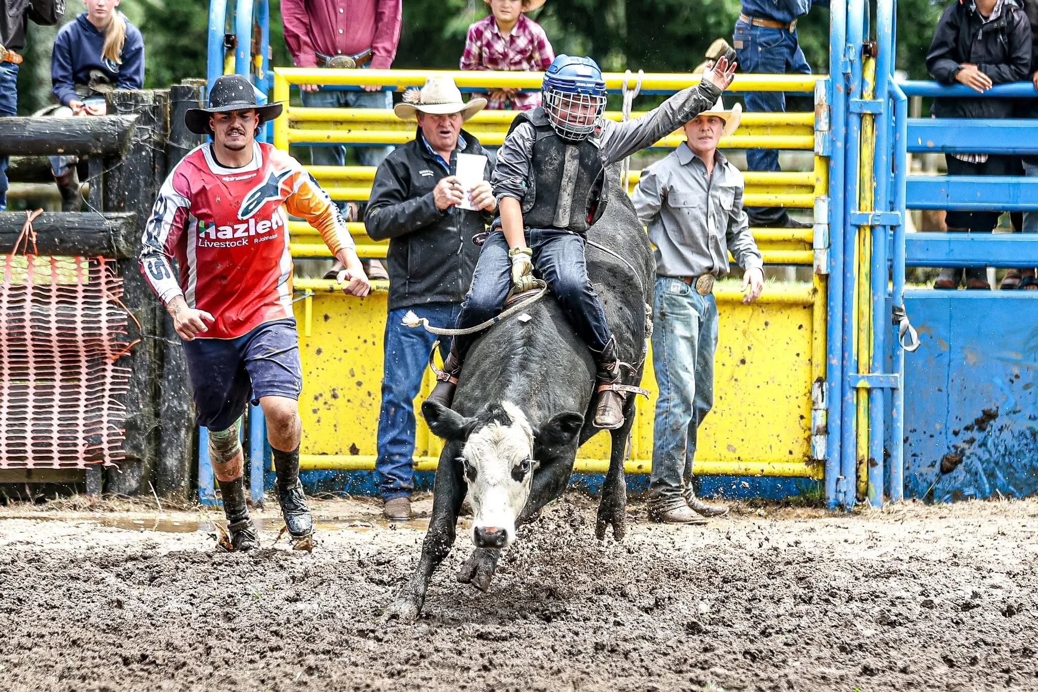 Kayde steer ride rodeo