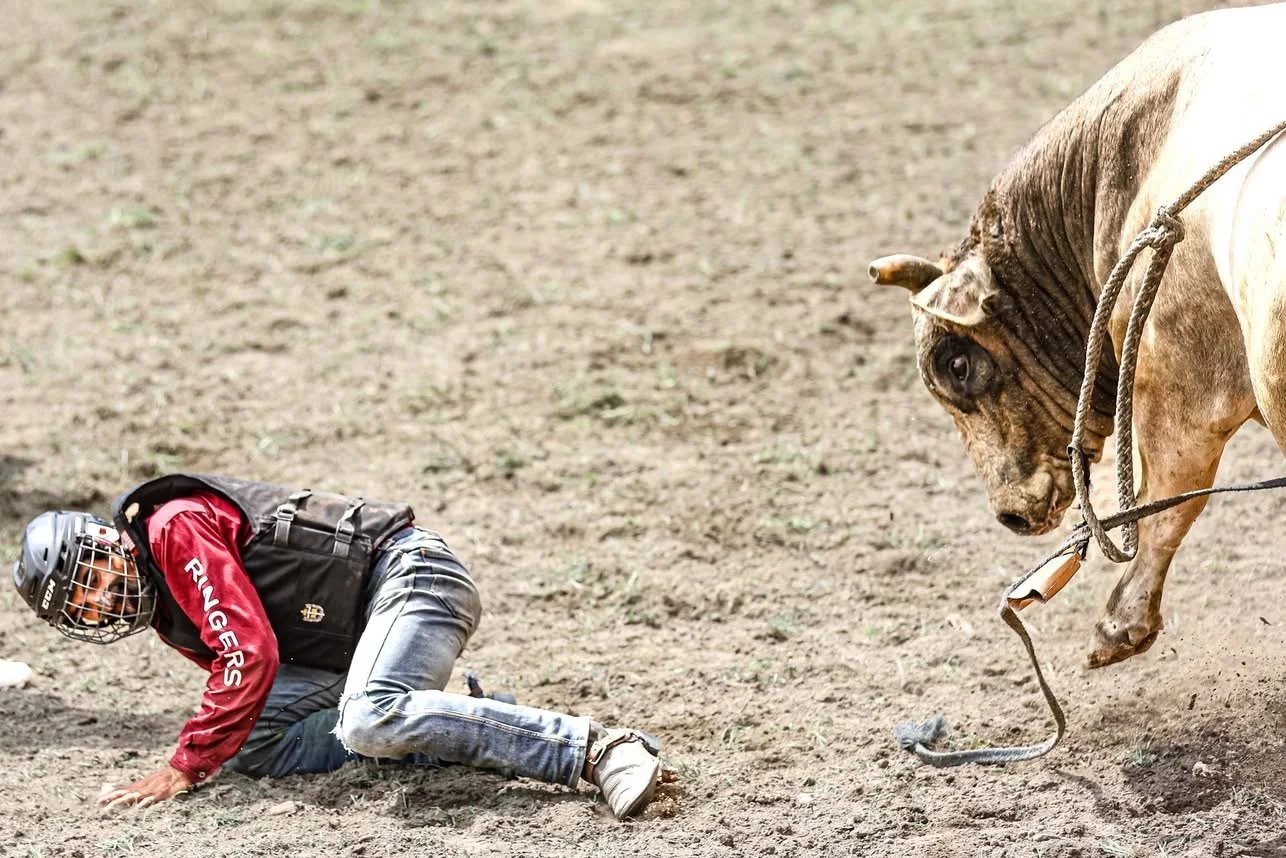Haunui vs Bull Rodeo Opotiki