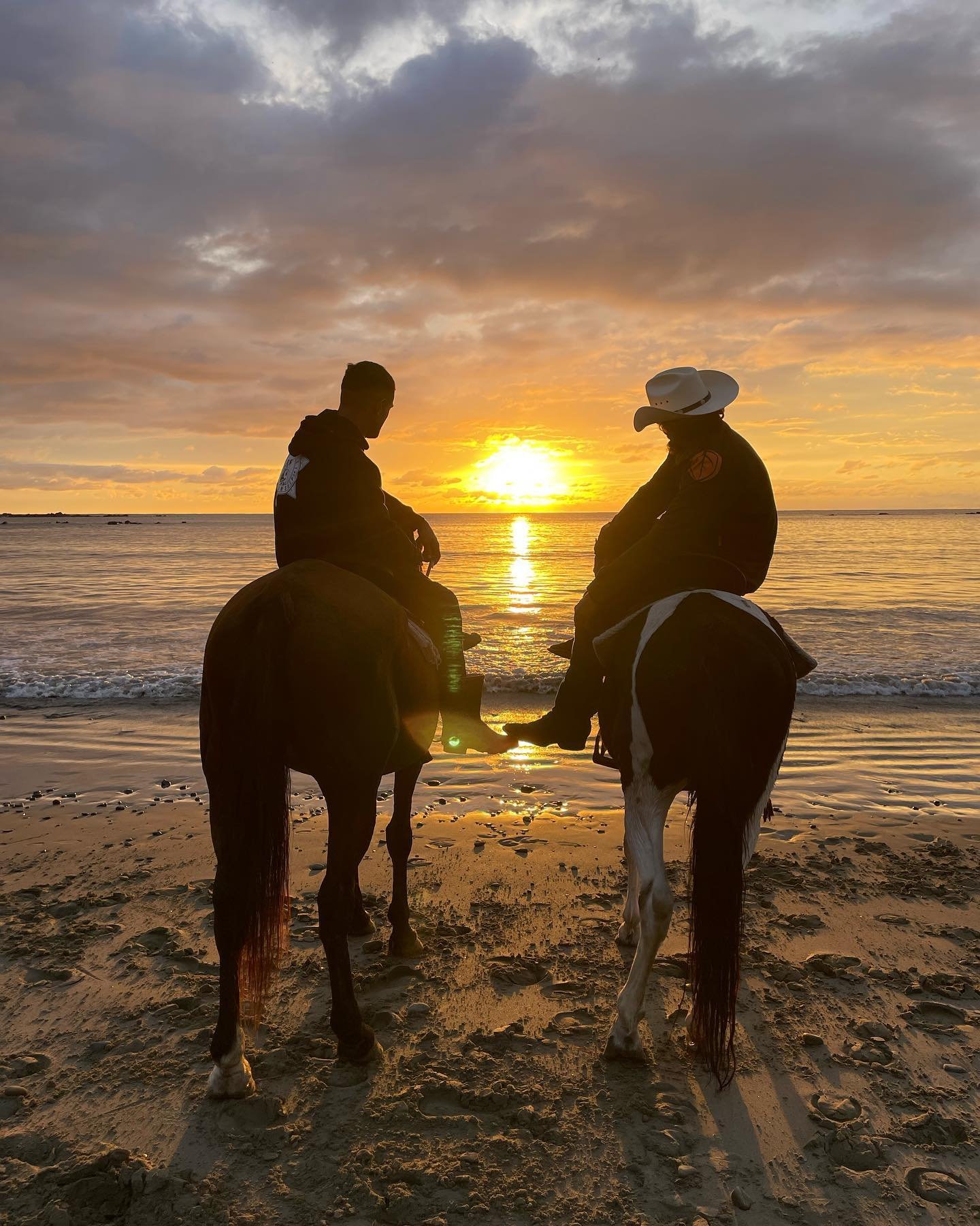 Standfast Horse Trekking - sunset.jpg