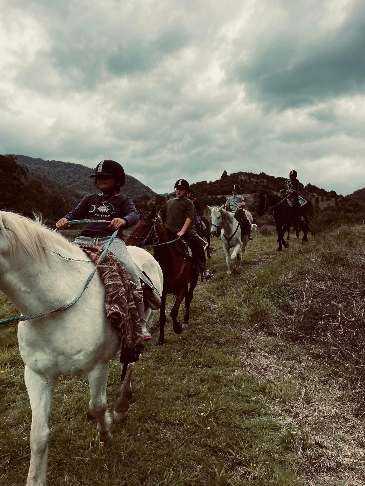 Holiday Programmes - Standfast Horse Trekking.jpg