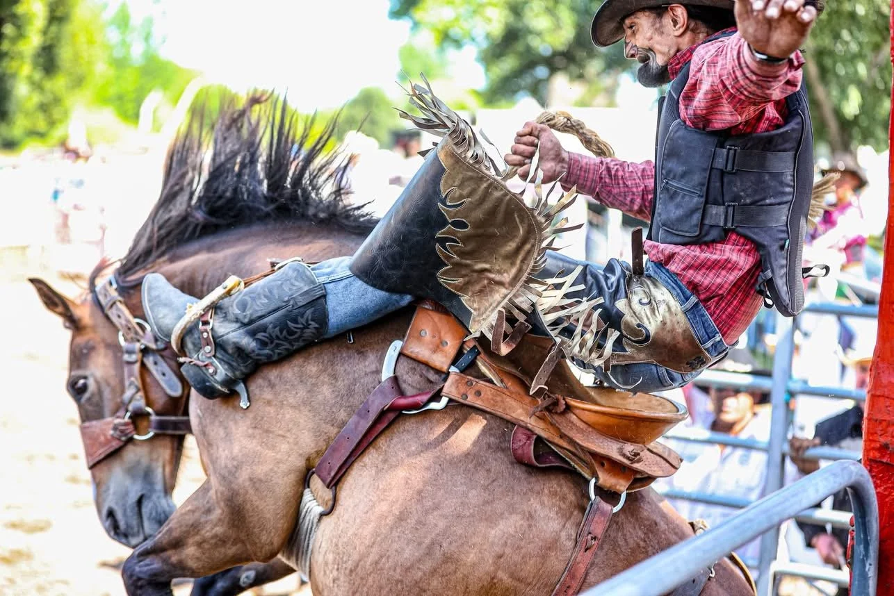 Haunui Saddle Bronc Rodeo