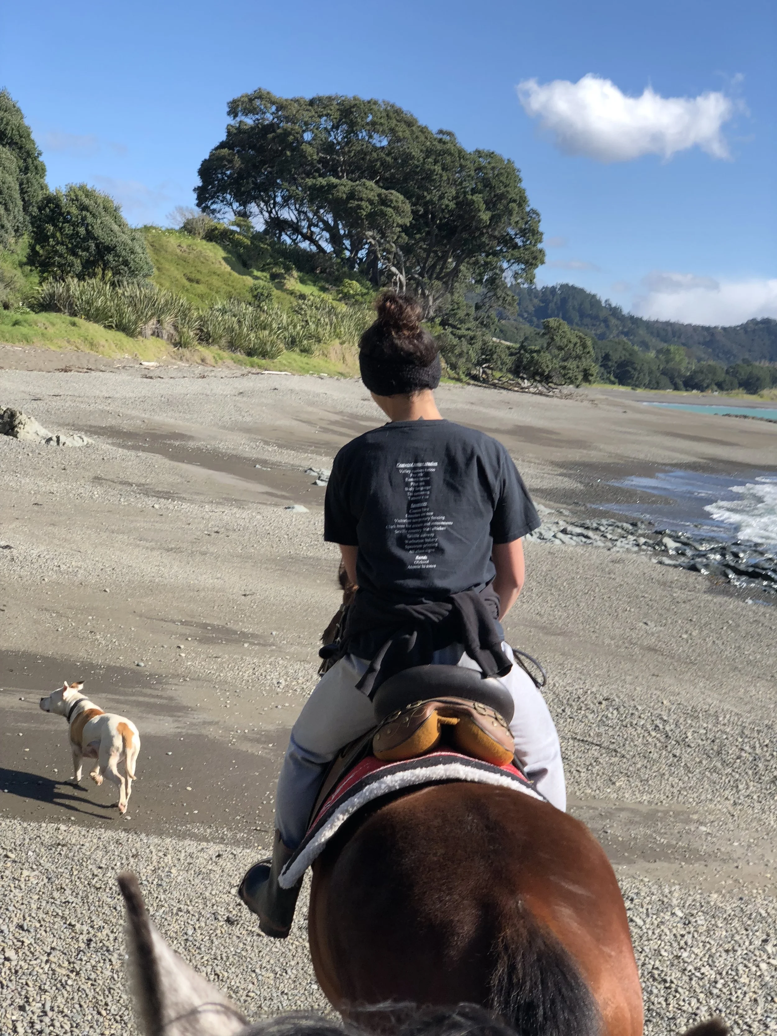 Where It All Began: The Birth of Standfast Horse Treks