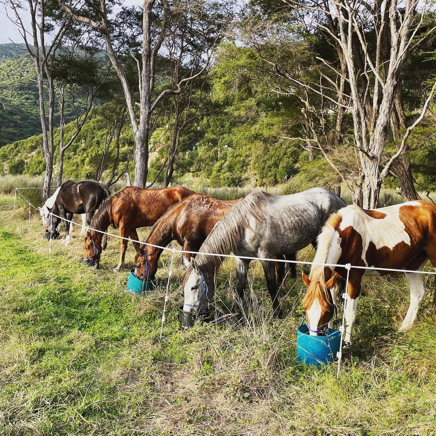 Holiday Programmes - Kids Riding.jpg