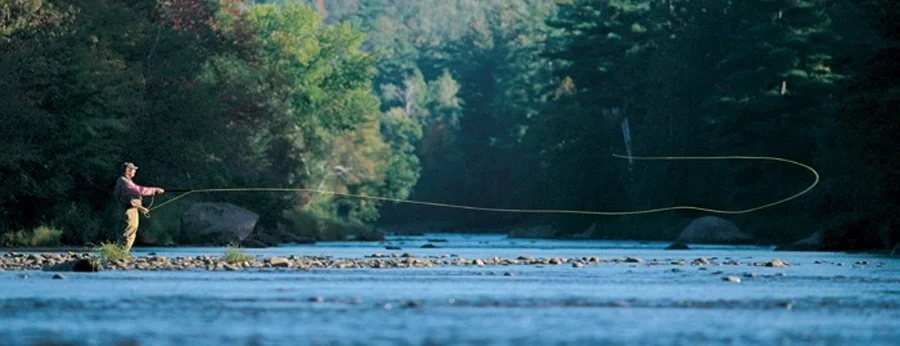 Person fly fishing in a river surrounded by trees