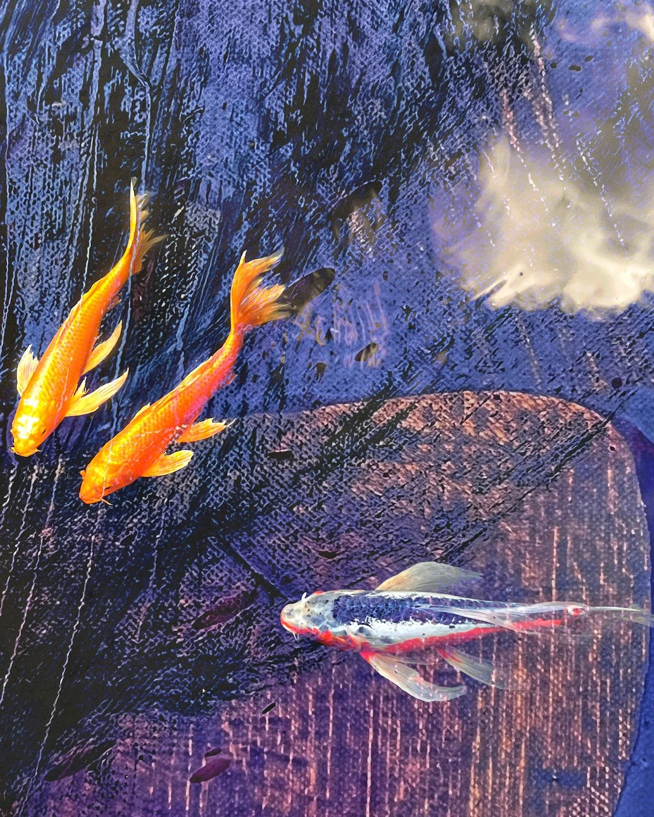 *NEW* Lotus lines #4
A few fishies from Tokyo, a bit of cloud, and a great sea of graffiti.

I love the pop of color and the energy of this one. Just ordered the print this afternoon. Pop by my open studio tour in late April to see this one in person