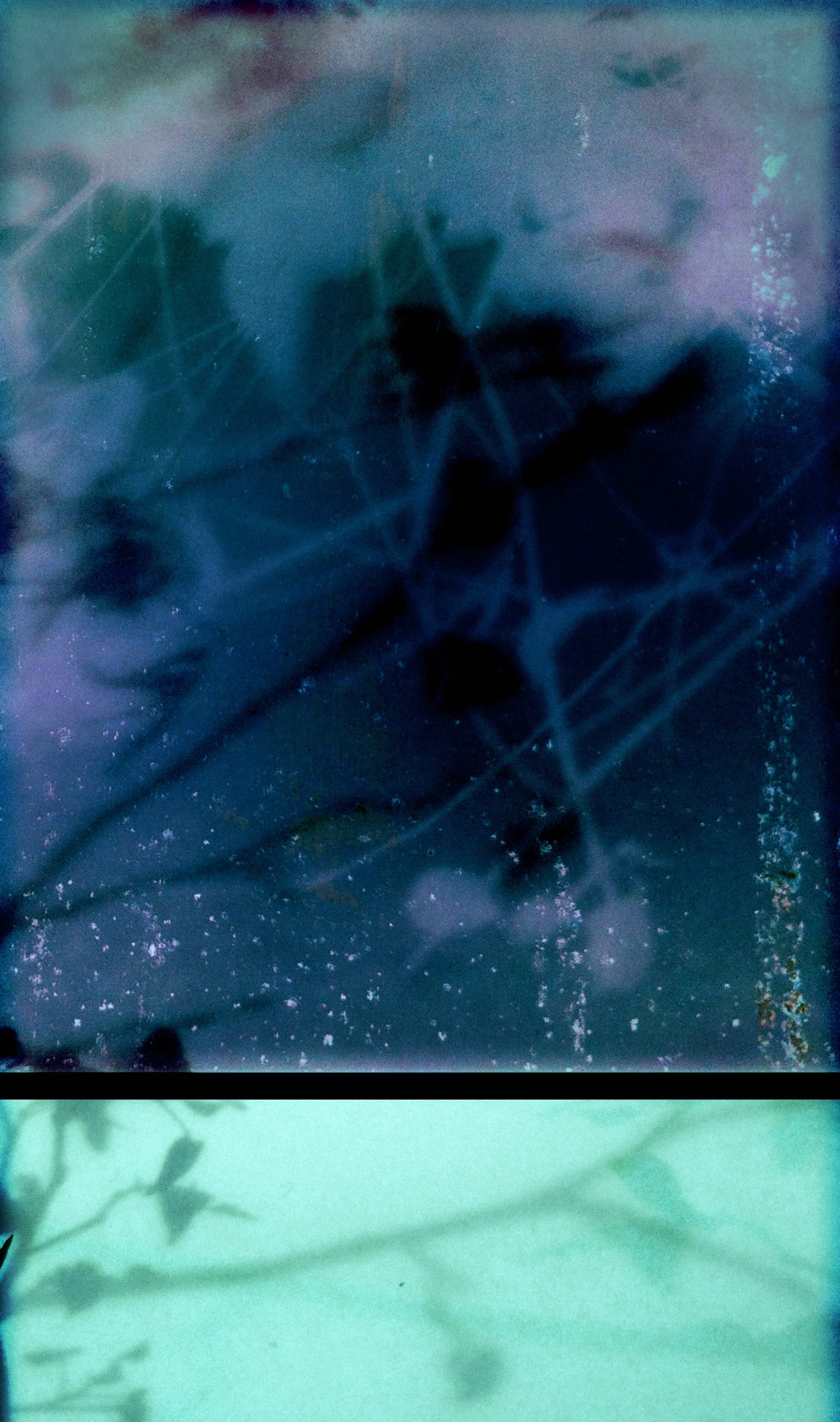 Dreamscape