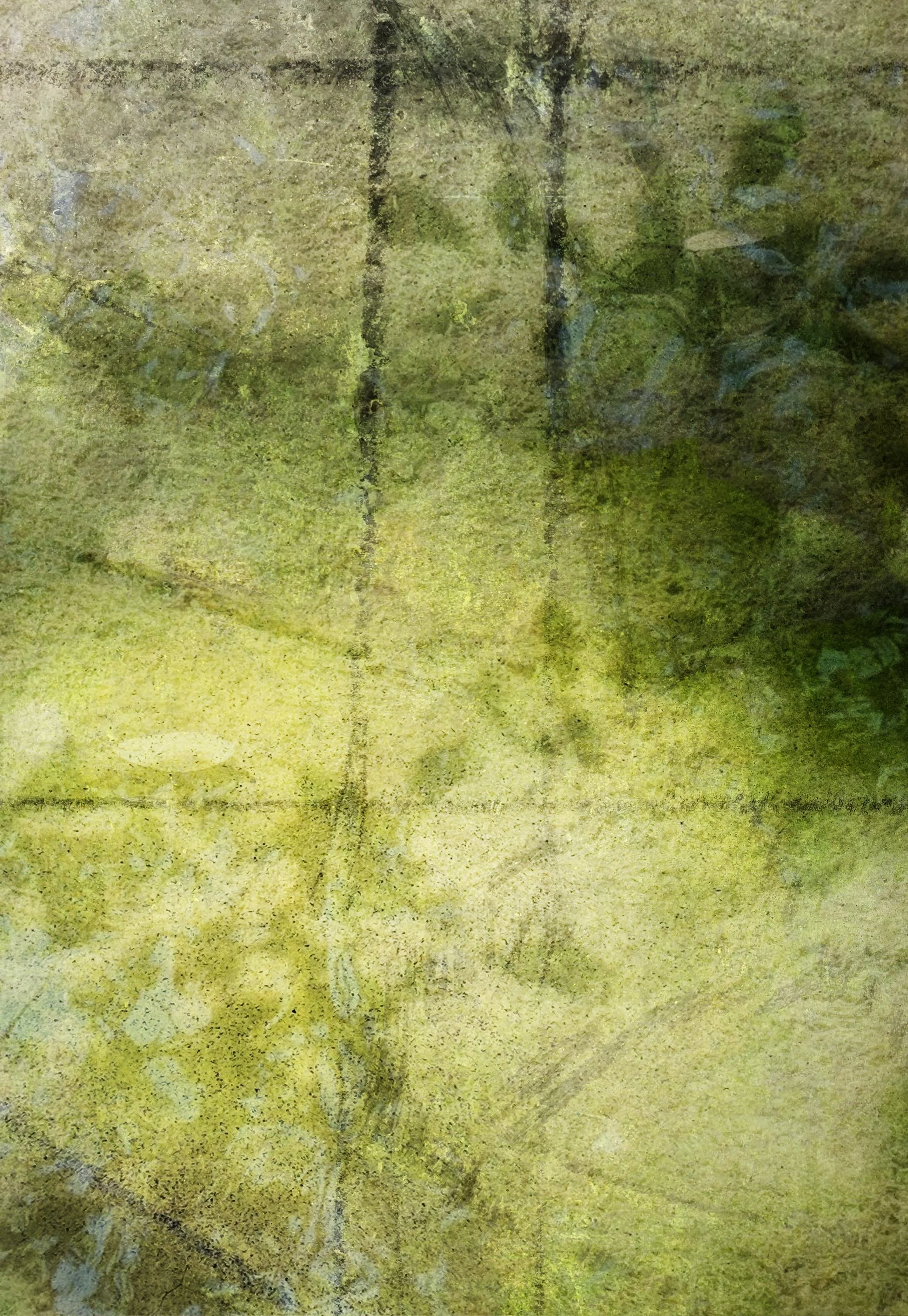 the dancing lawn web.jpg