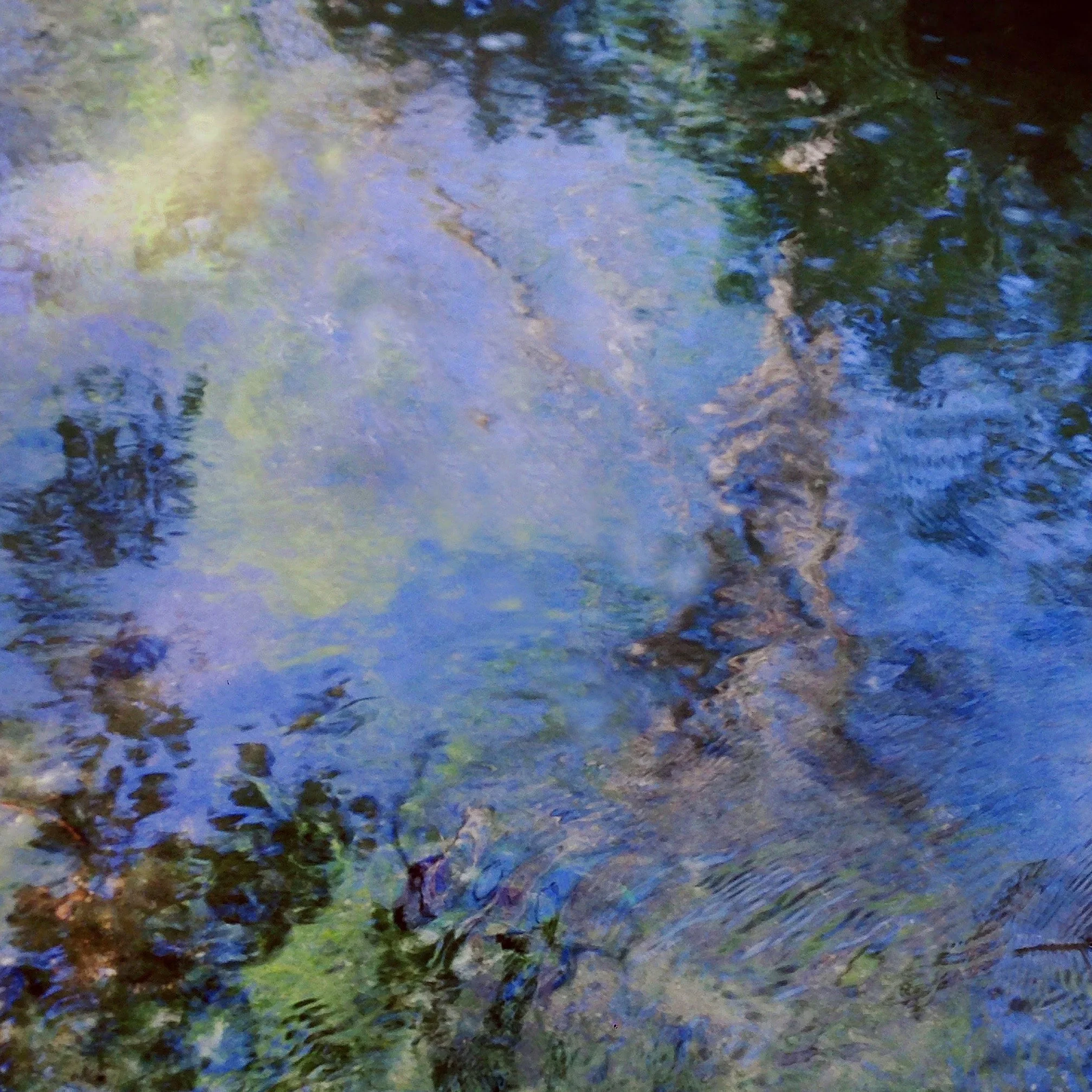 Spring web.jpg