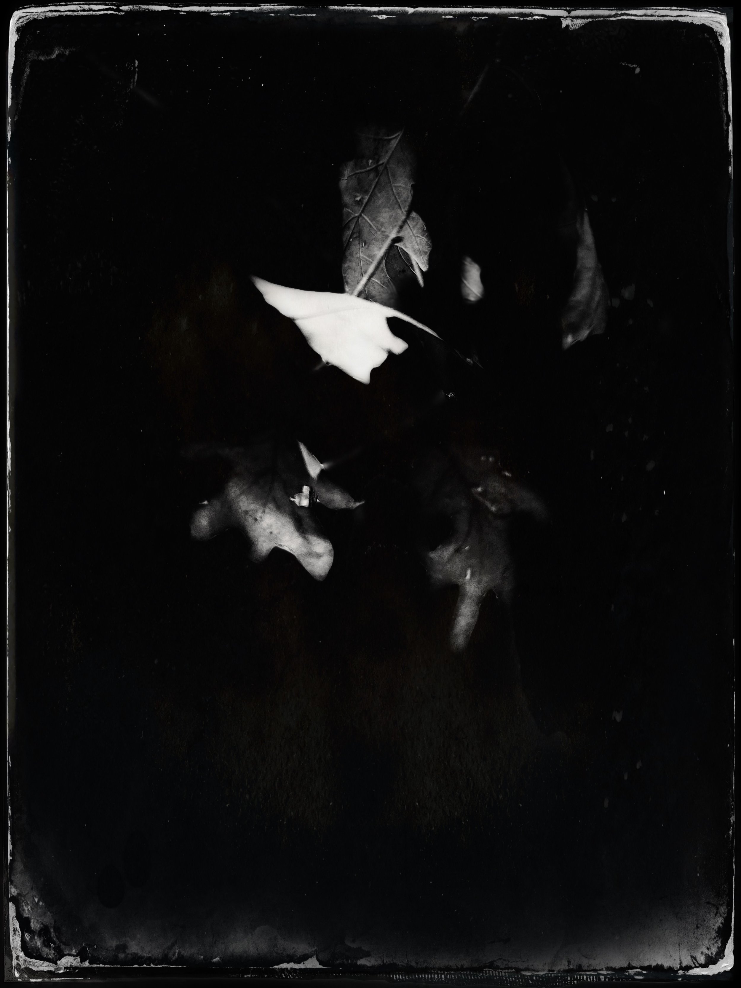 glimpse of memory.jpg