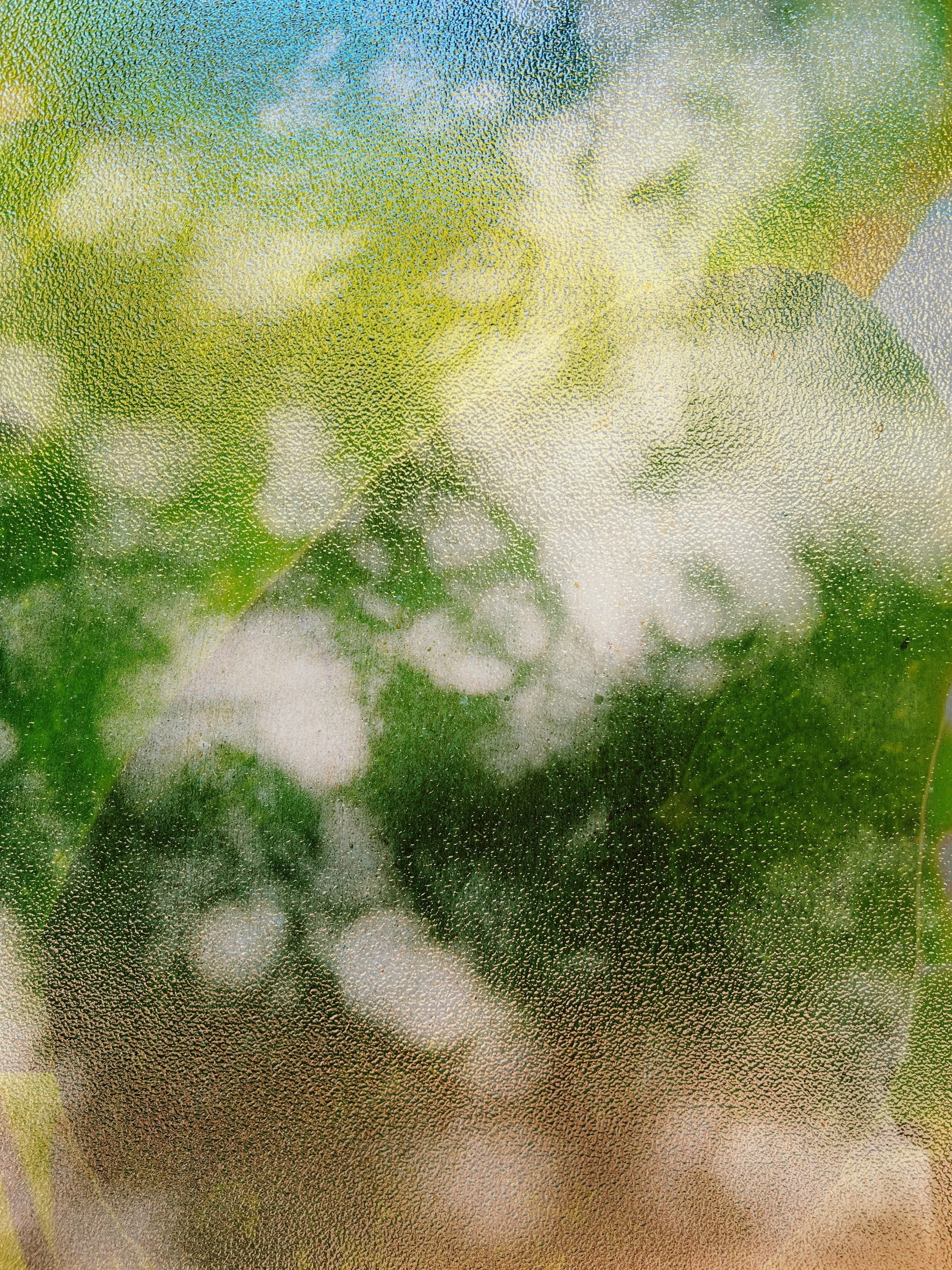 new life web.jpg