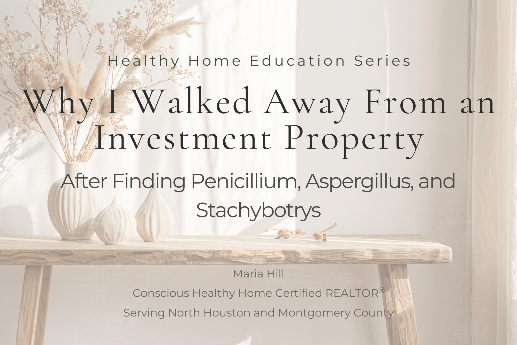 Why I Walked Away From an Investment Property After Finding Penicillium, Aspergillus, and Stachybotrys