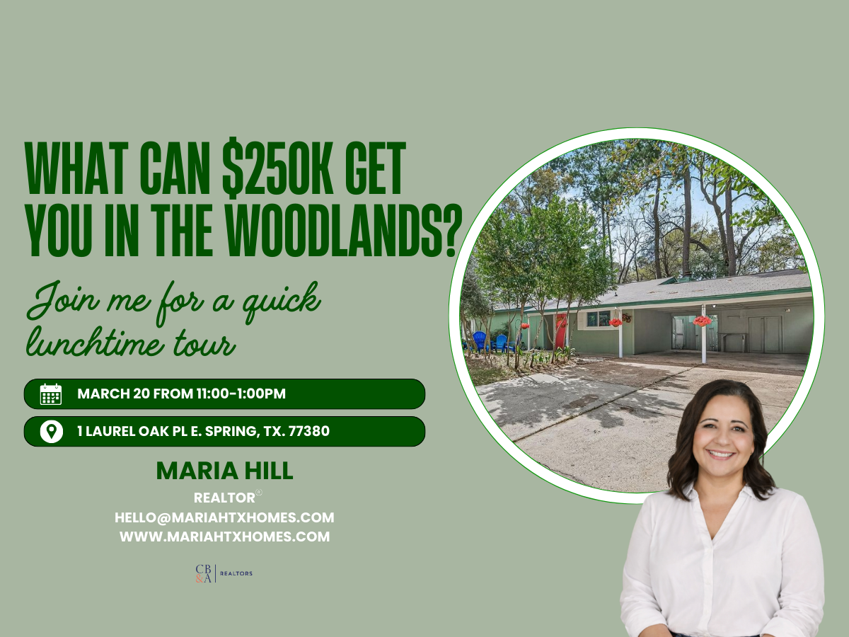 Lunch-Time Open House in The Woodlands - $250K Home