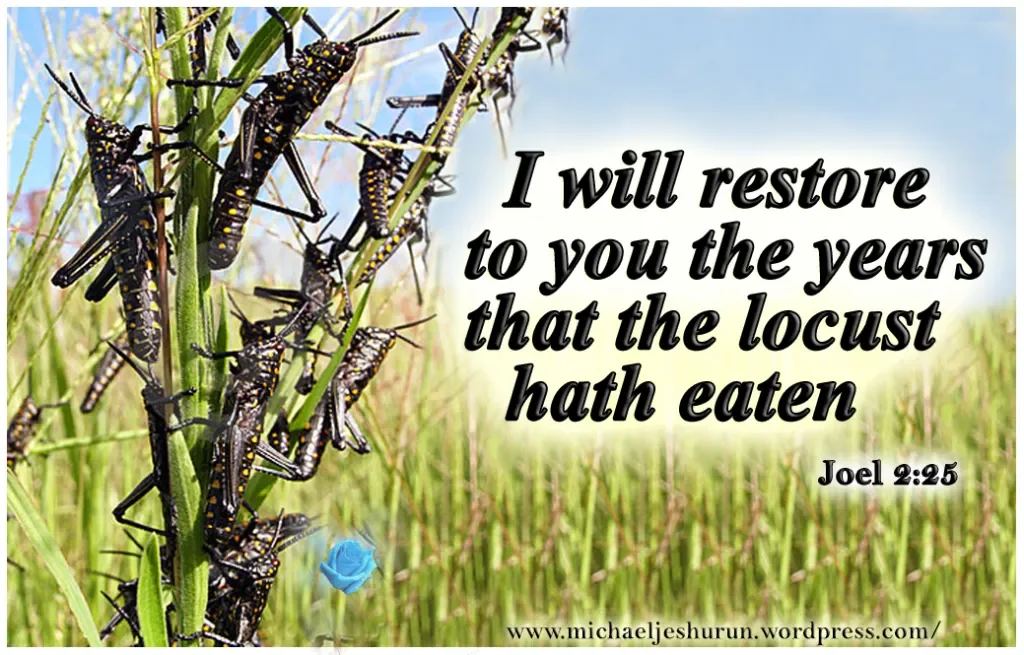 4th Sunday Worship Service - 24 May 2026 - "Do You See The Locusts?"