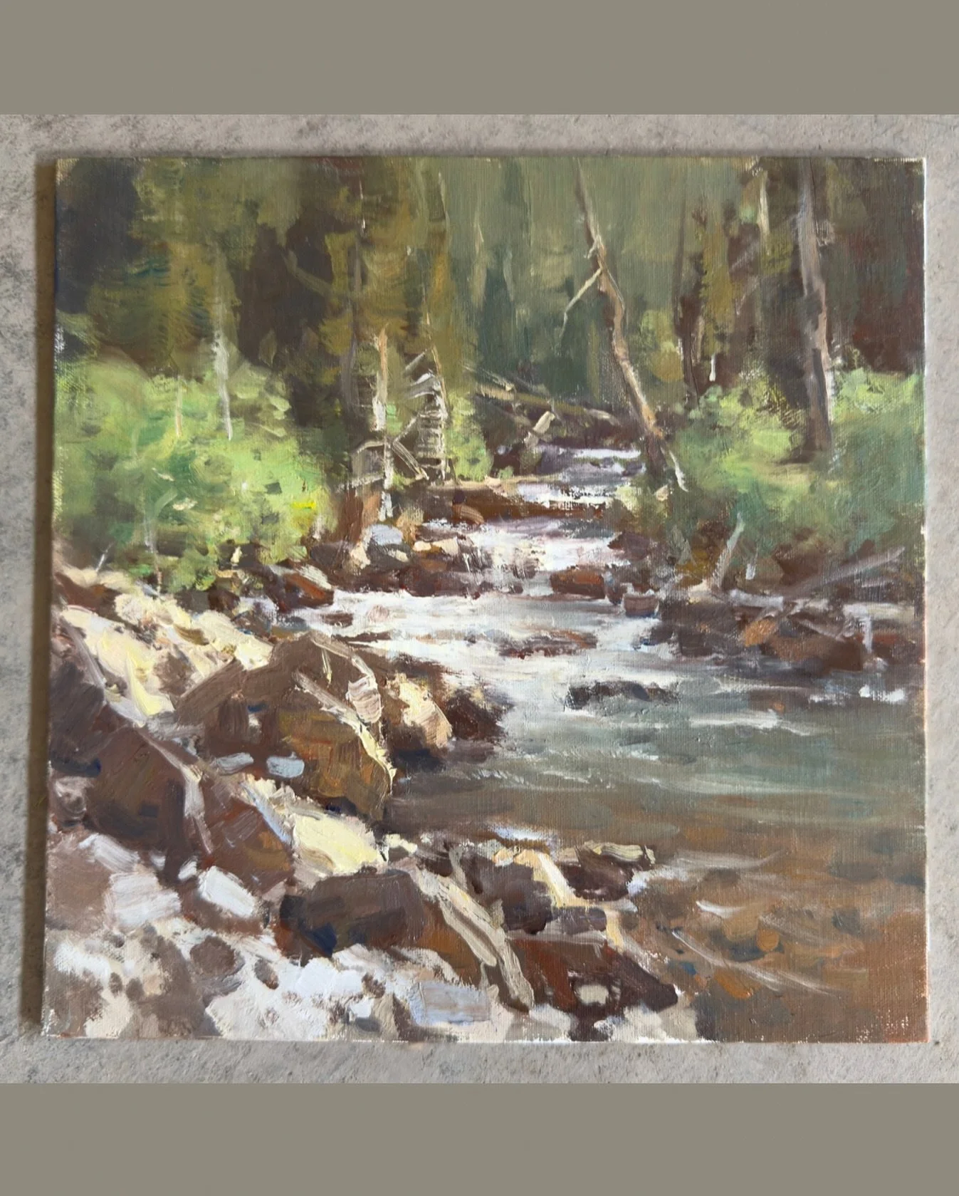 This is a rework of the painting I started outdoors yesterday (in the previous Reel), added lights and darker dark accents. I lost some of the reflected lights and color shifts I wanted to work on along the way, but this will go in my stack of studie