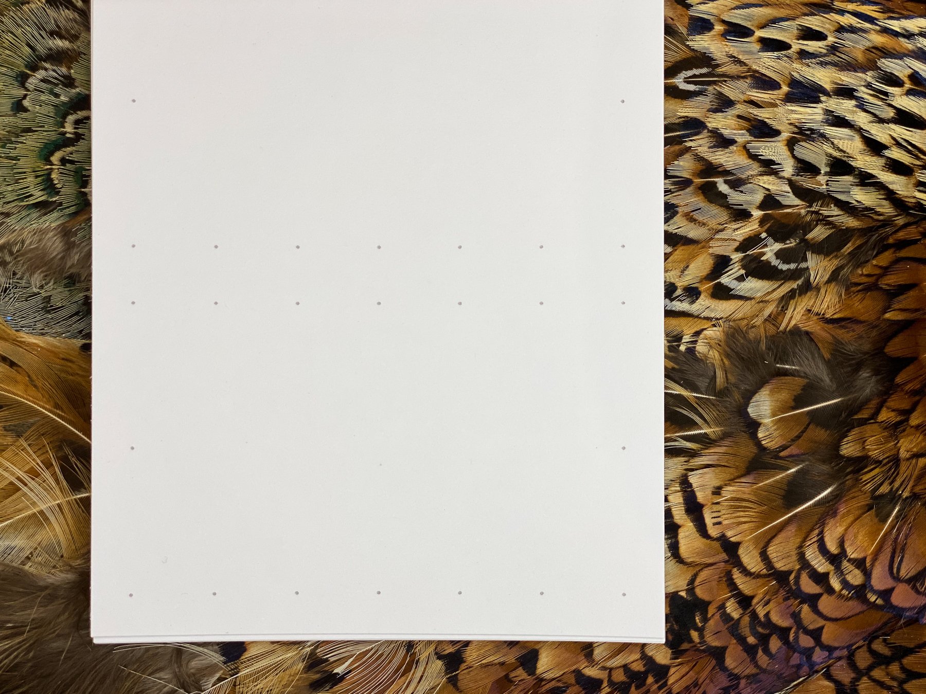 AOP Journals-2.jpg