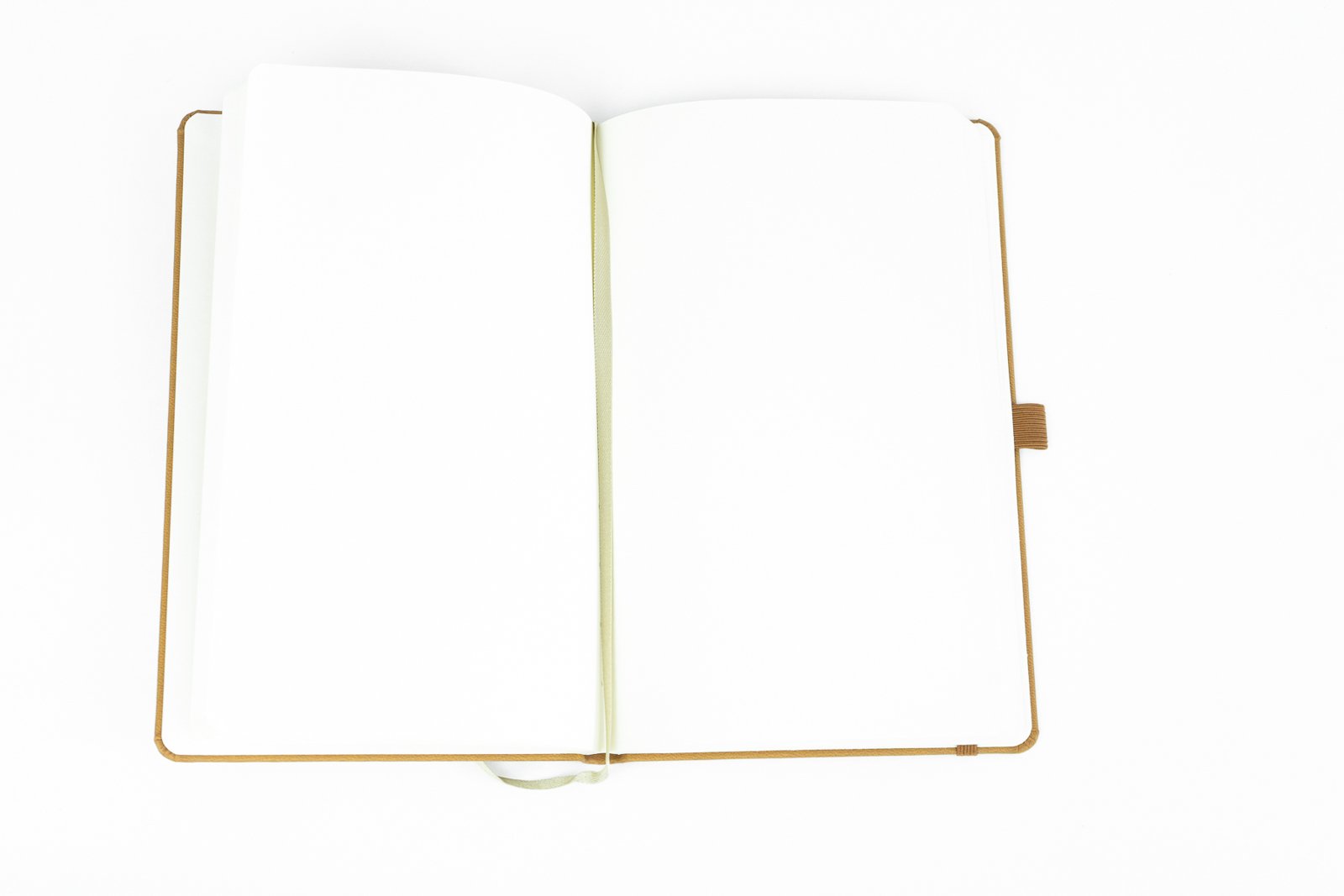 AOP Journals-3.jpg