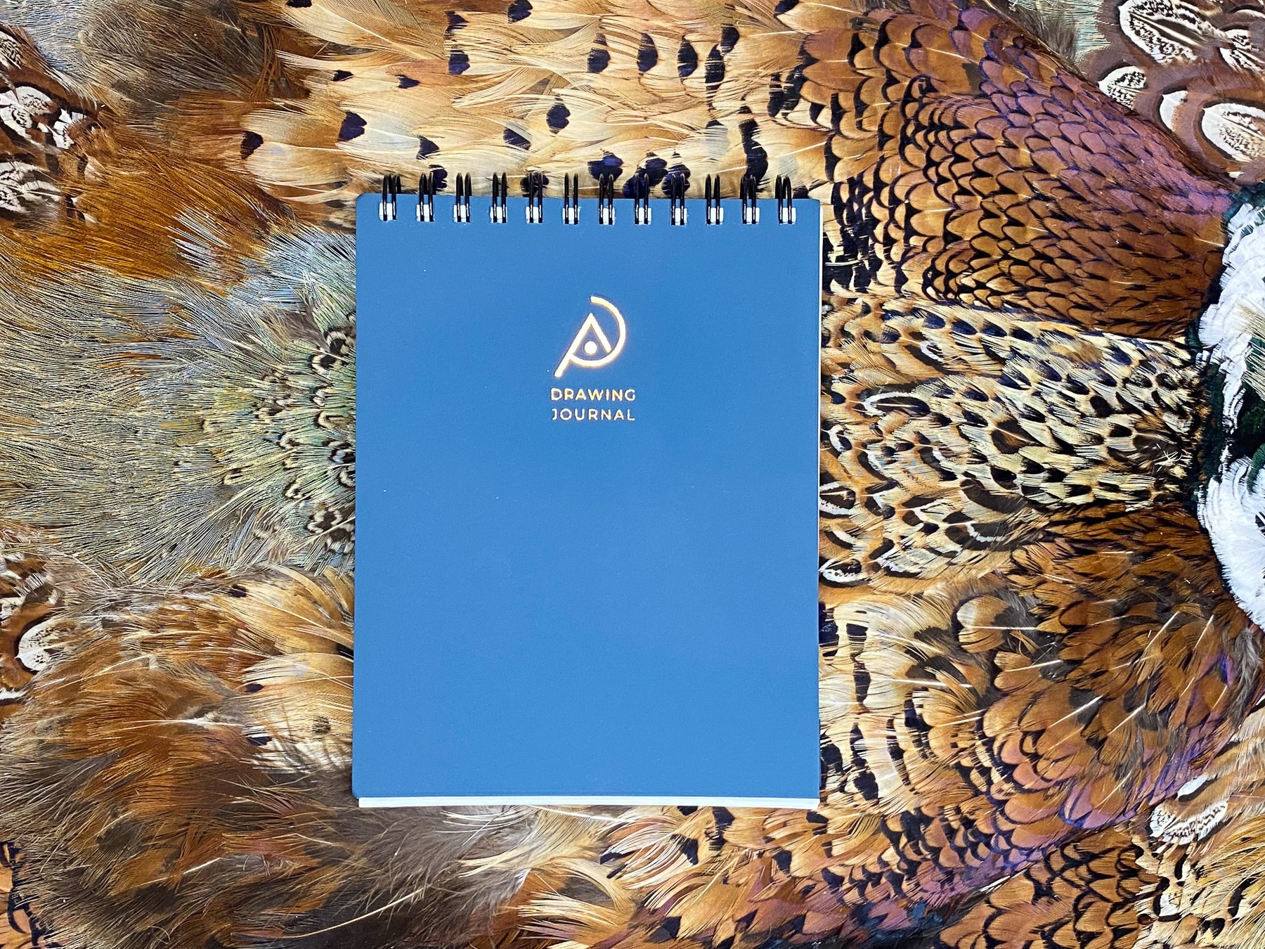 AOP Journals-6.jpg