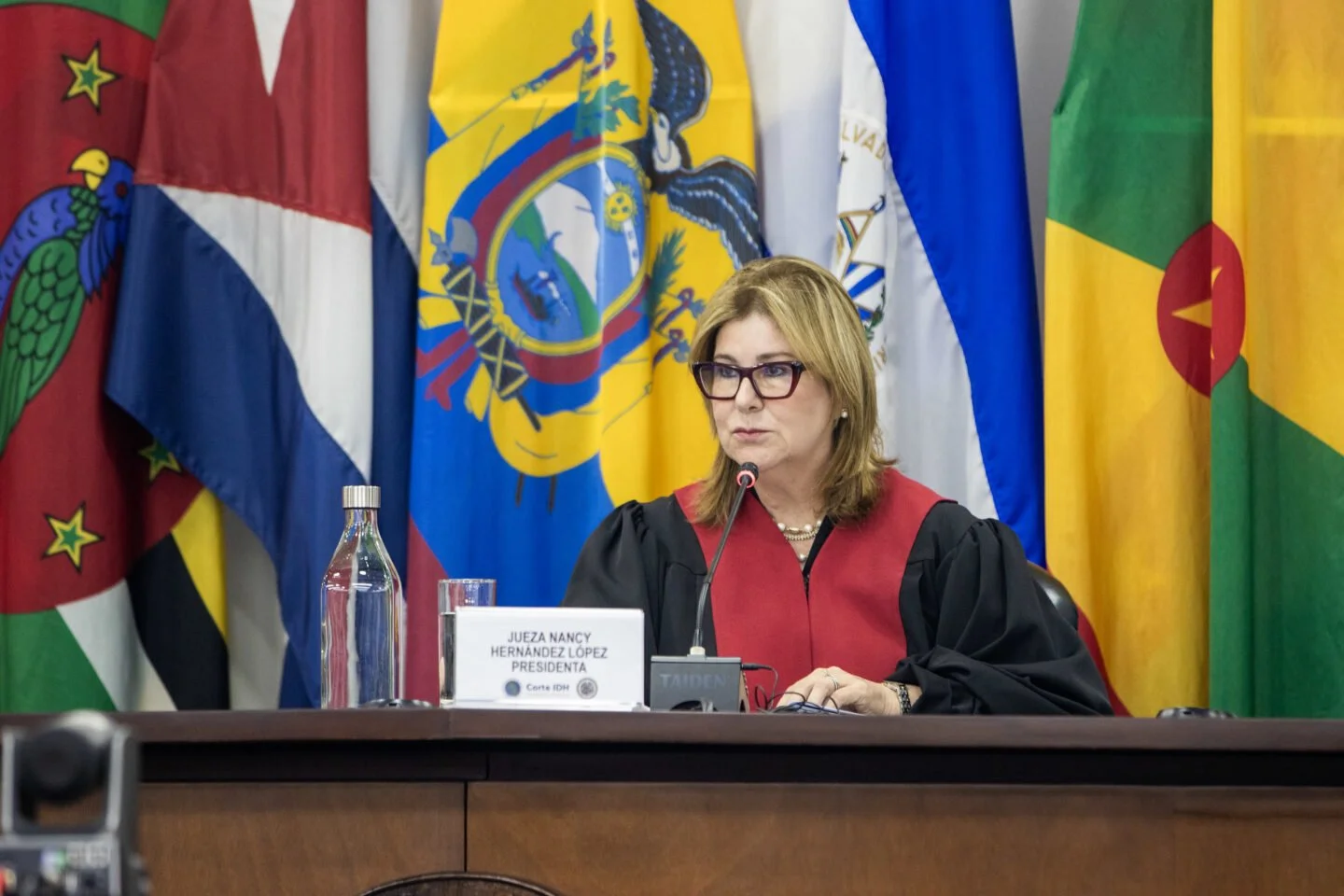The Inter-American Court of Human Rights rules on the accountability of companies for emissions causing harm to climate change and human rights