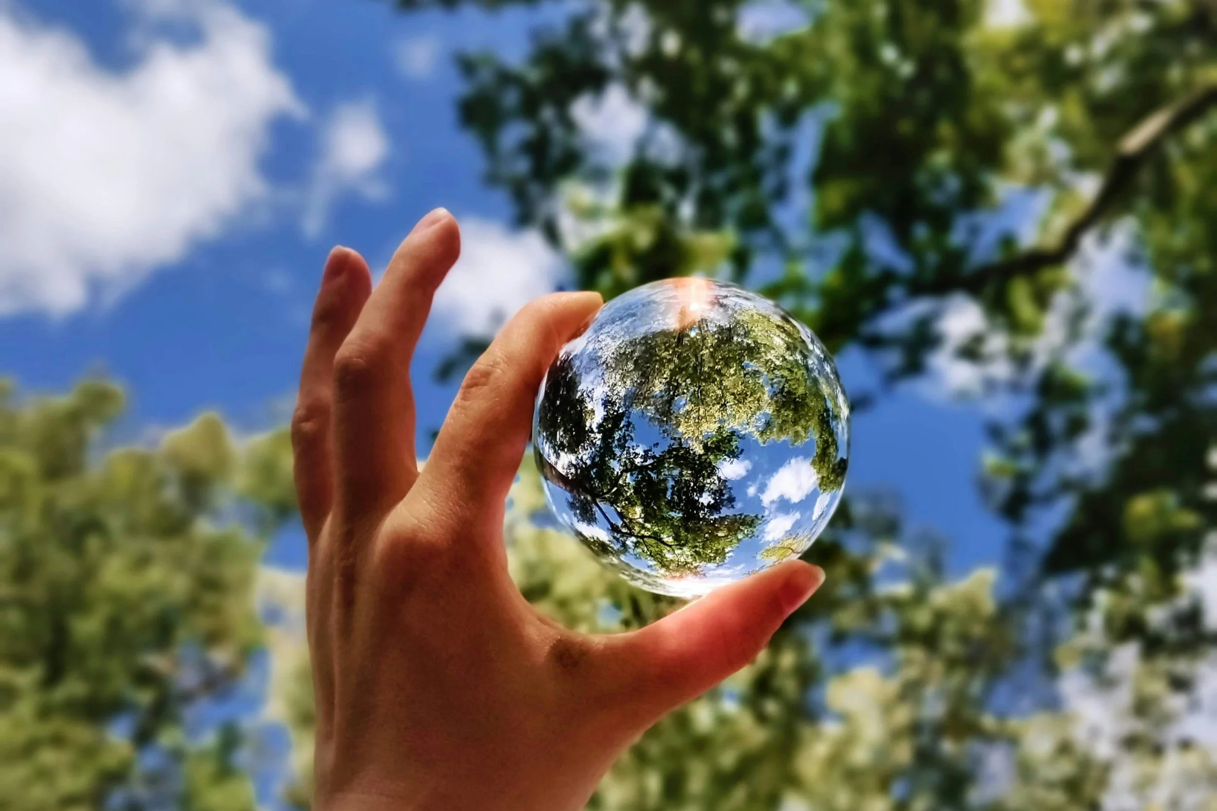 Advancing Corporate Climate Accountability Post the Inter-American Court Advisory Opinion on Human Rights and the Climate Emergency
