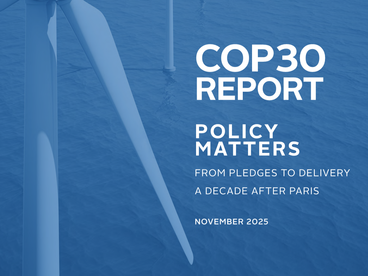 COP30 REPORT:&nbsp;Policy matters: From pledges to delivery a decade after Paris