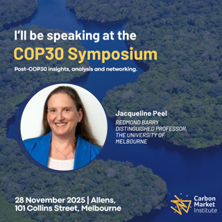 Post-COP Symposium - Carbon Market Institute