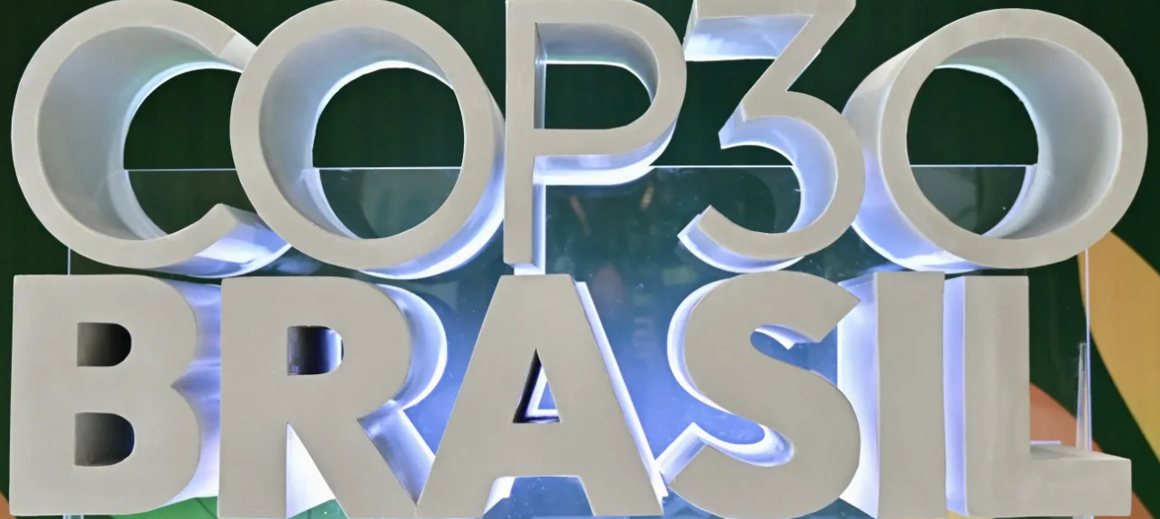 This year’s climate talks saw real progress – just not on fossil&nbsp;fuels
