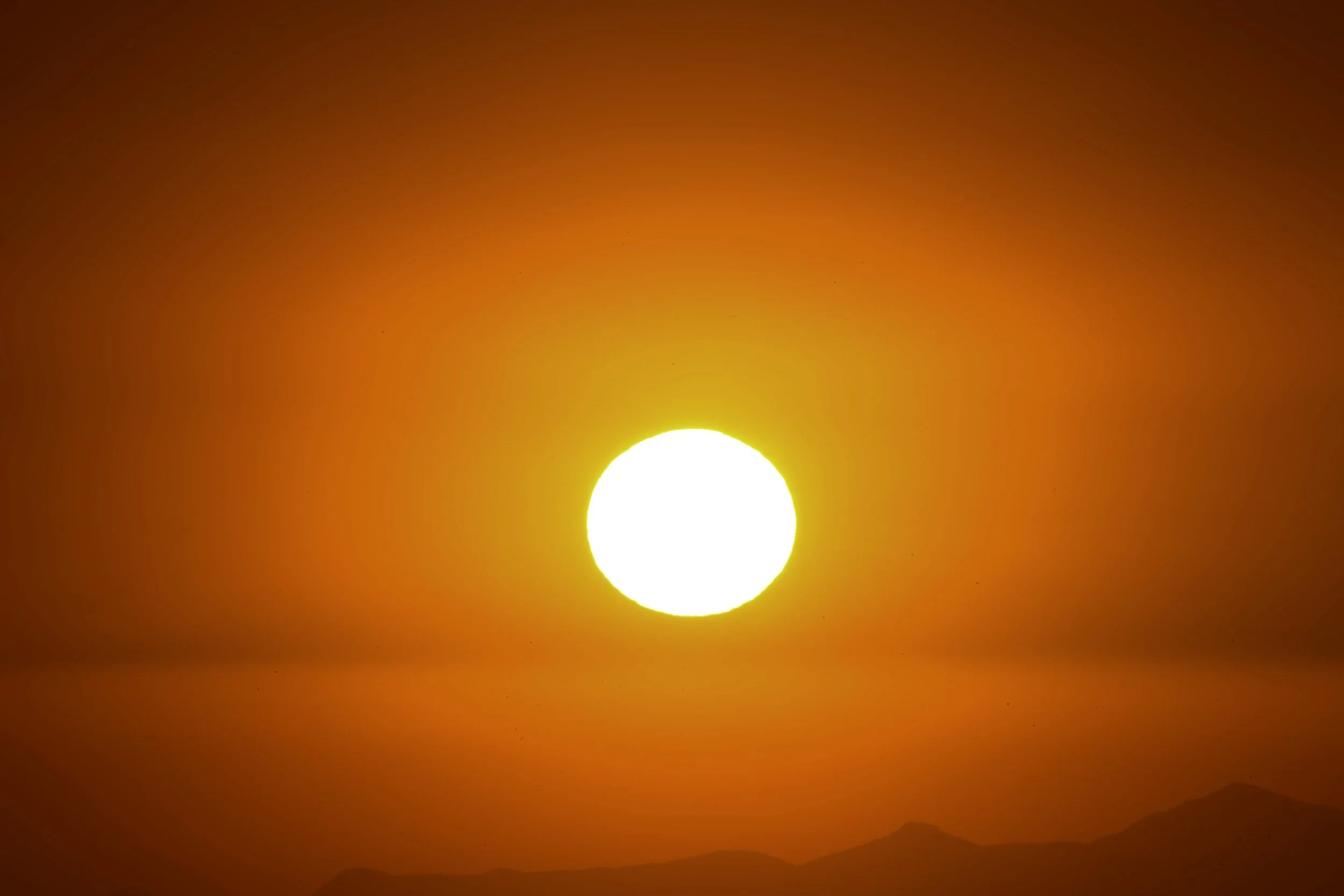 Some of Australia’s biggest companies are planning for an unbearable climate&nbsp;future