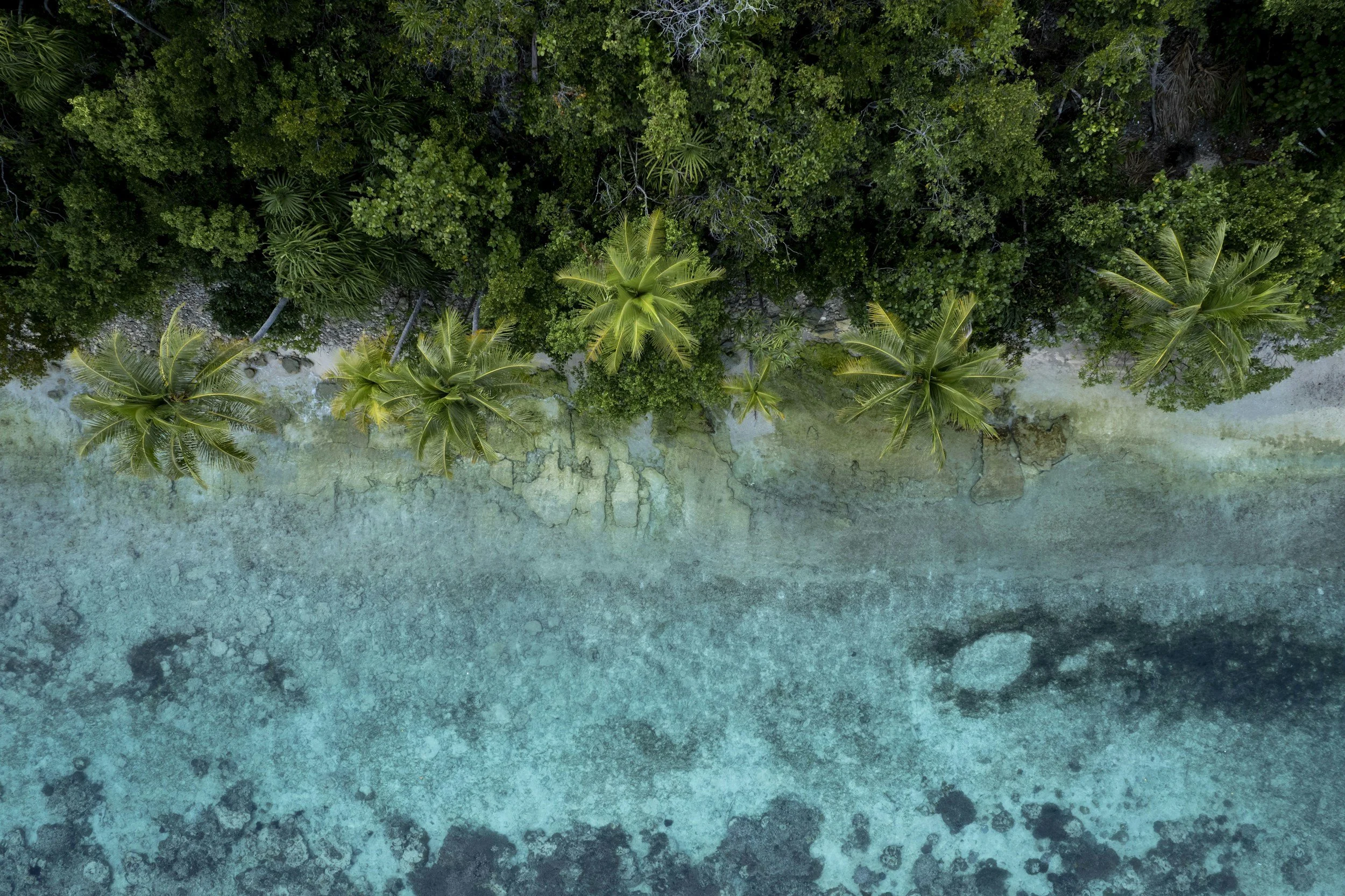 In a year of record‑breaking heat, Australia and Pacific leaders meet to sharpen climate&nbsp;goals