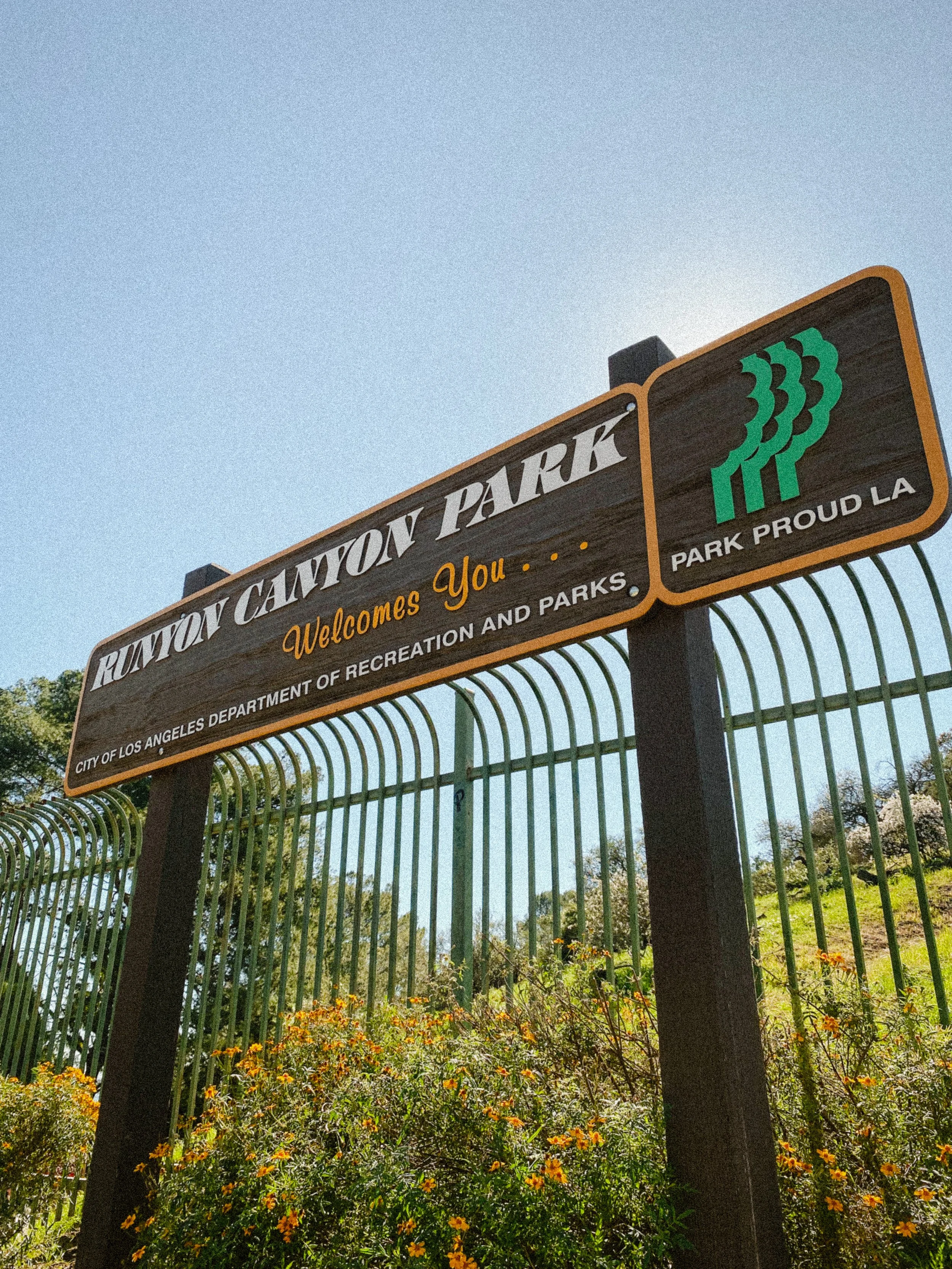 Social Media_UCLA_Runyon_1.jpg