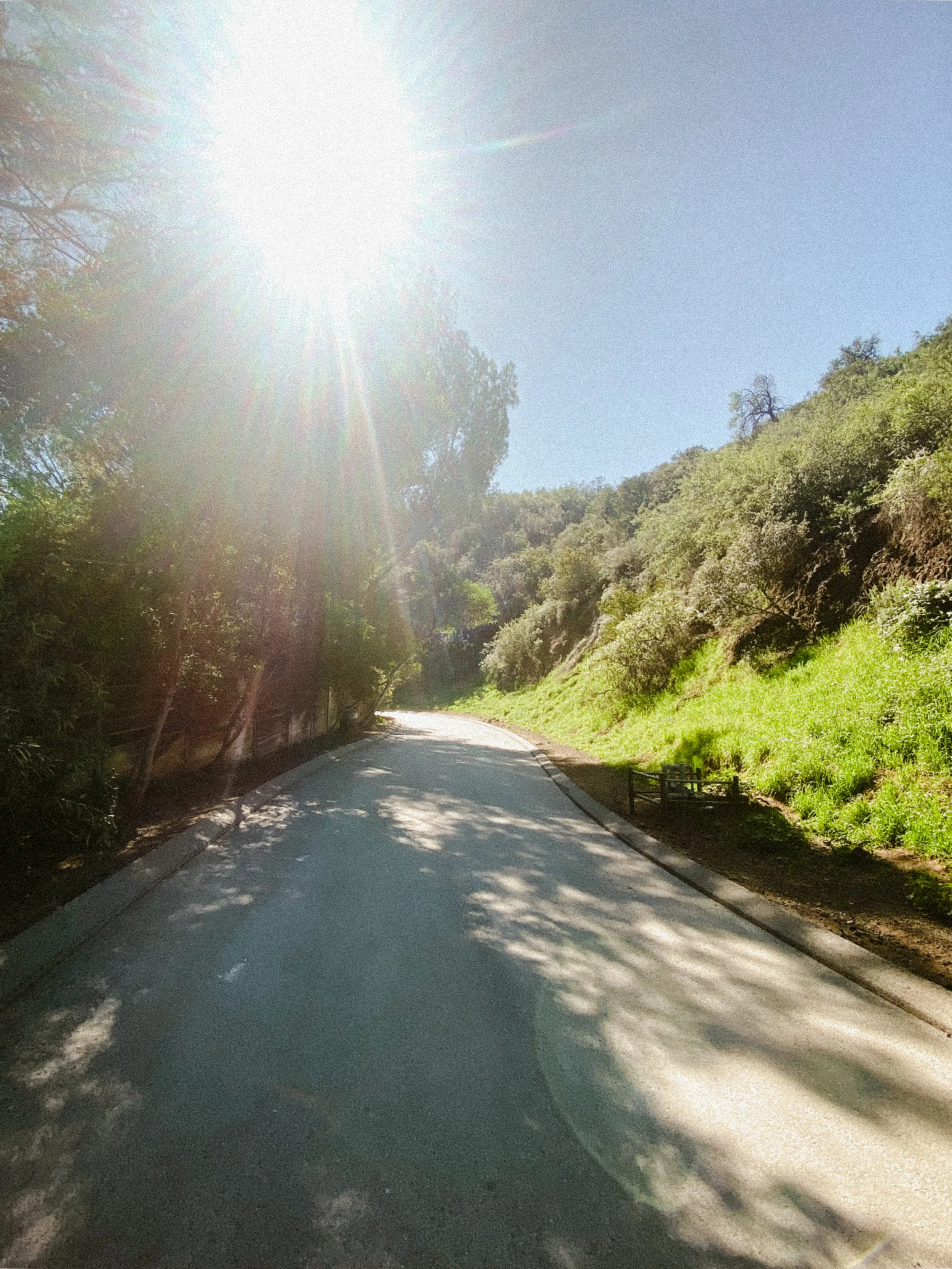 Social Media_UCLA_Runyon_2.jpg