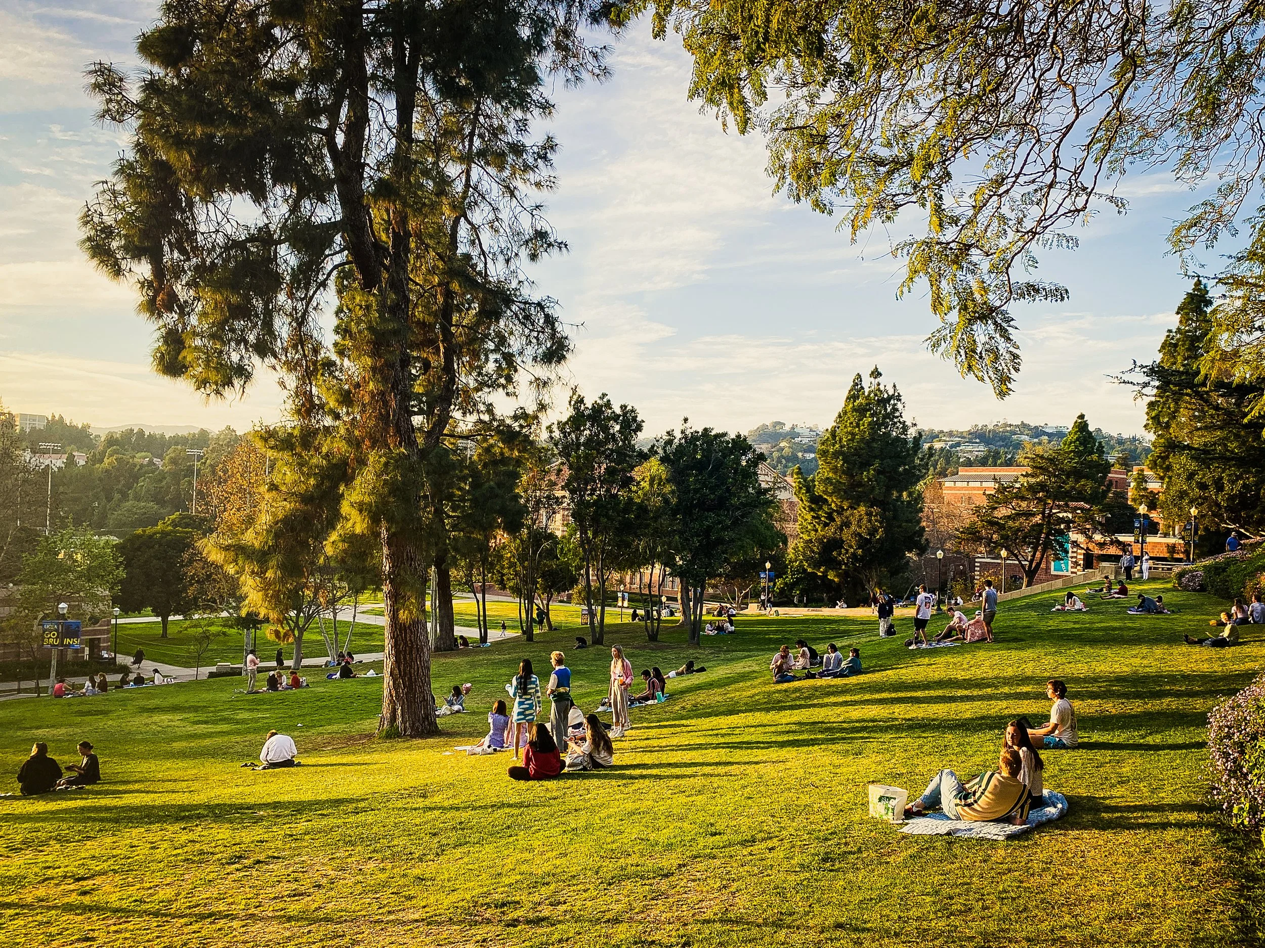 UCLA_SUNSET_Park_2.jpg